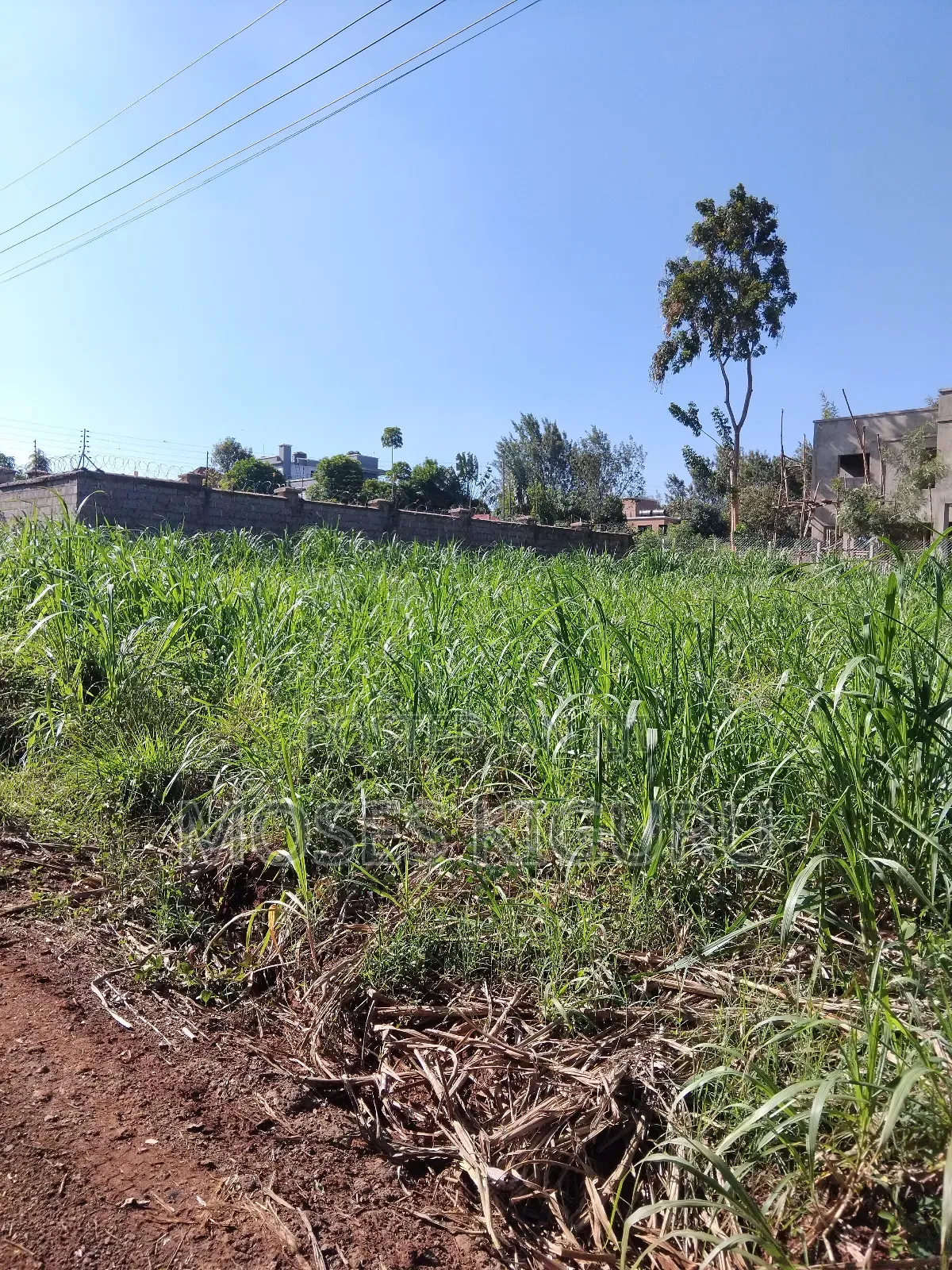 Githingiri, Thika Golf View Estate, 1/4 Plot for Sale in Thika