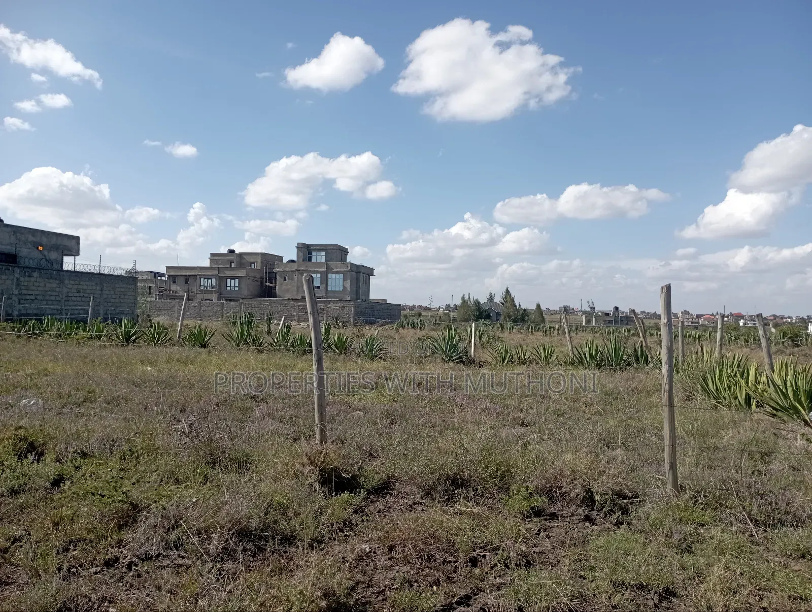 Katani 1/8 Acre Plot - Sale Advertisement in Katani