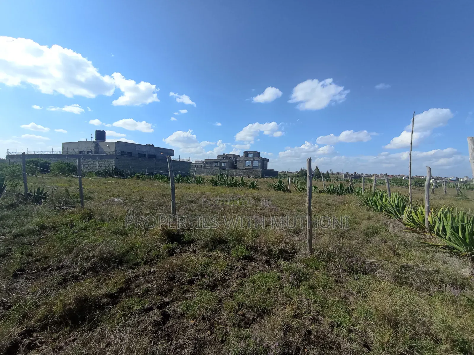 Katani 1/8 Acre Plot - Sale Advertisement in Katani