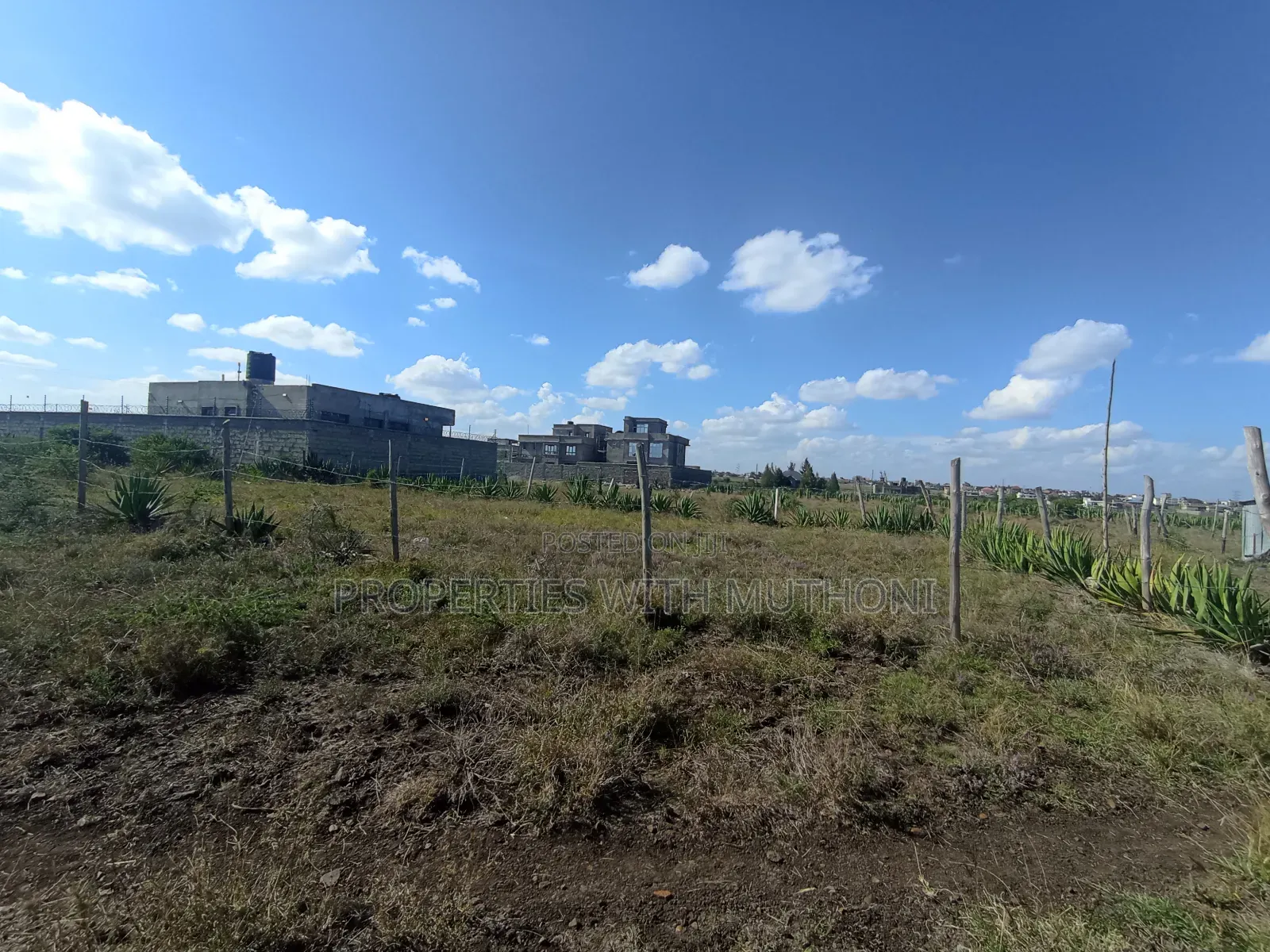 Katani 1/8 Acre Plot - Sale Advertisement in Katani