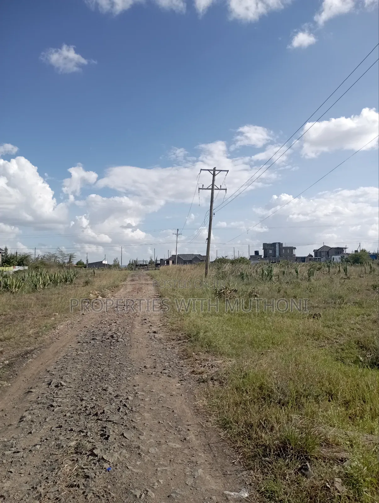 Katani 1/8 Acre Plot - Sale Advertisement in Katani