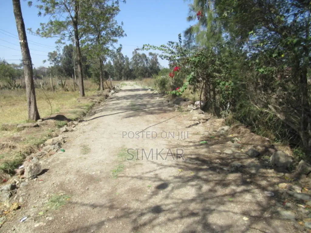 0.5-Acre Plots for Sale in Karen in Karen C