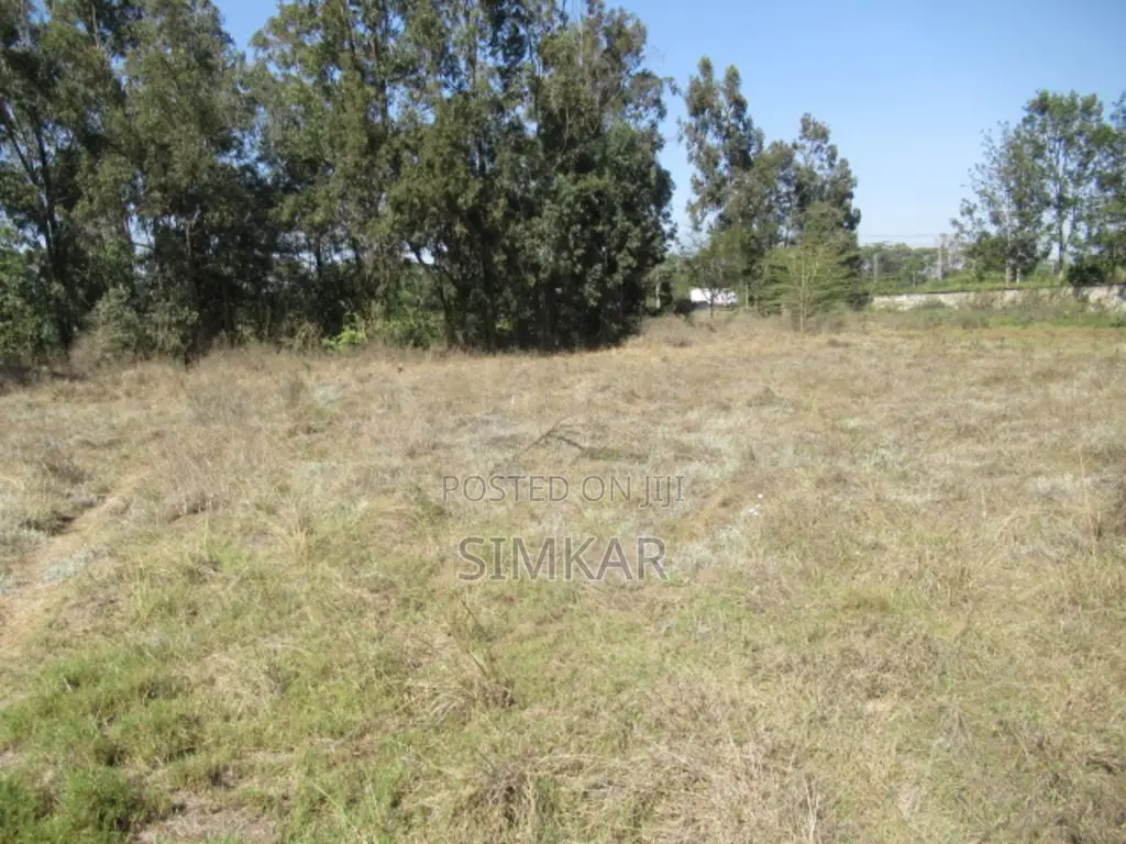 0.5-Acre Plots for Sale in Karen in Karen C
