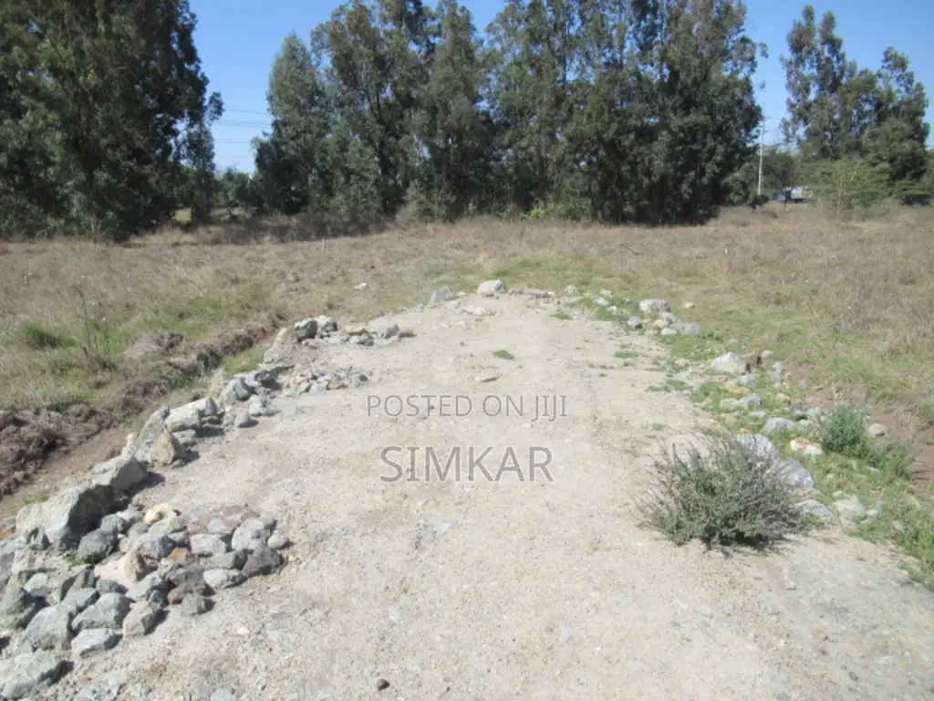 0.5-Acre Plots for Sale in Karen in Karen C