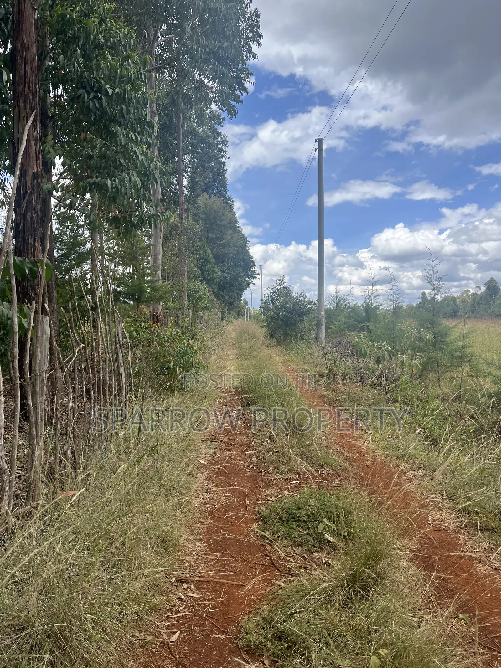 Nyahururu Shamba for Sale in Siron