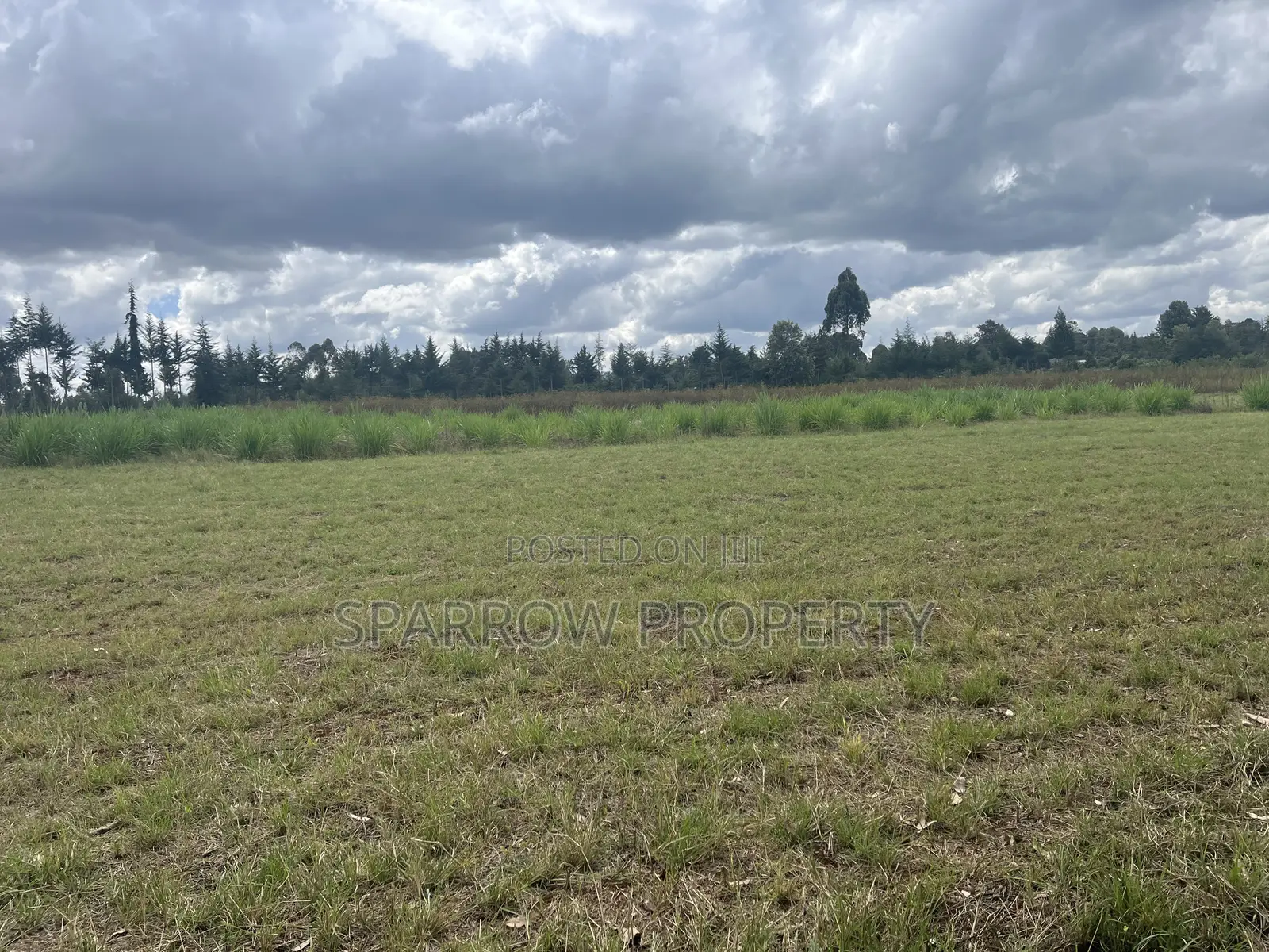 Nyahururu Shamba for Sale in Siron