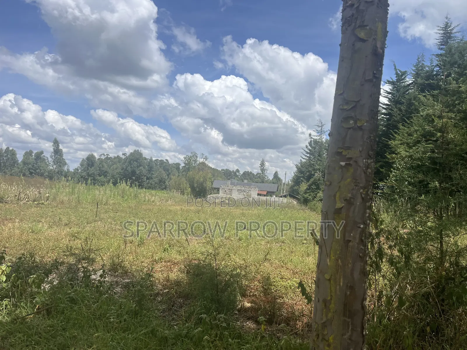 Nyahururu Shamba for Sale in Siron