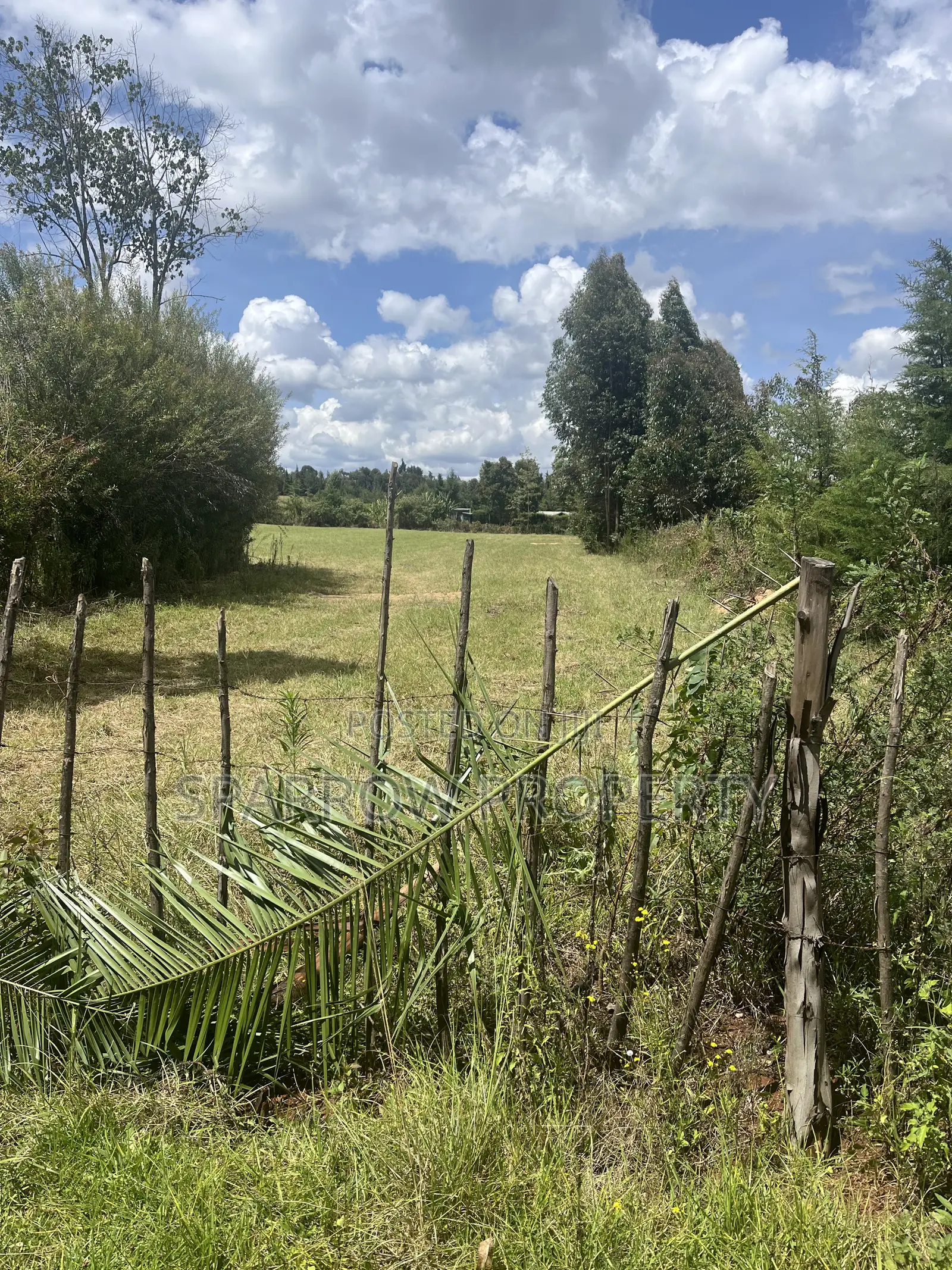 Nyahururu Shamba for Sale in Siron