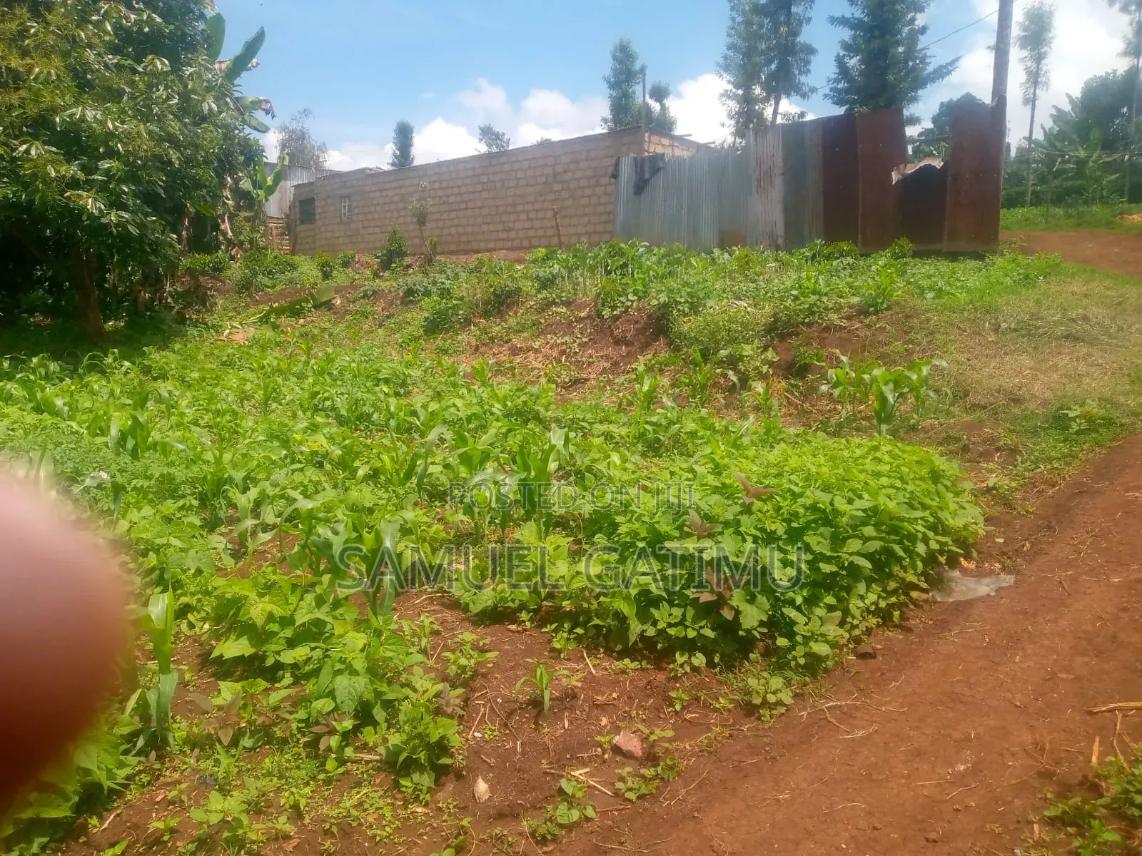 Quick Plot for Sale in Banana