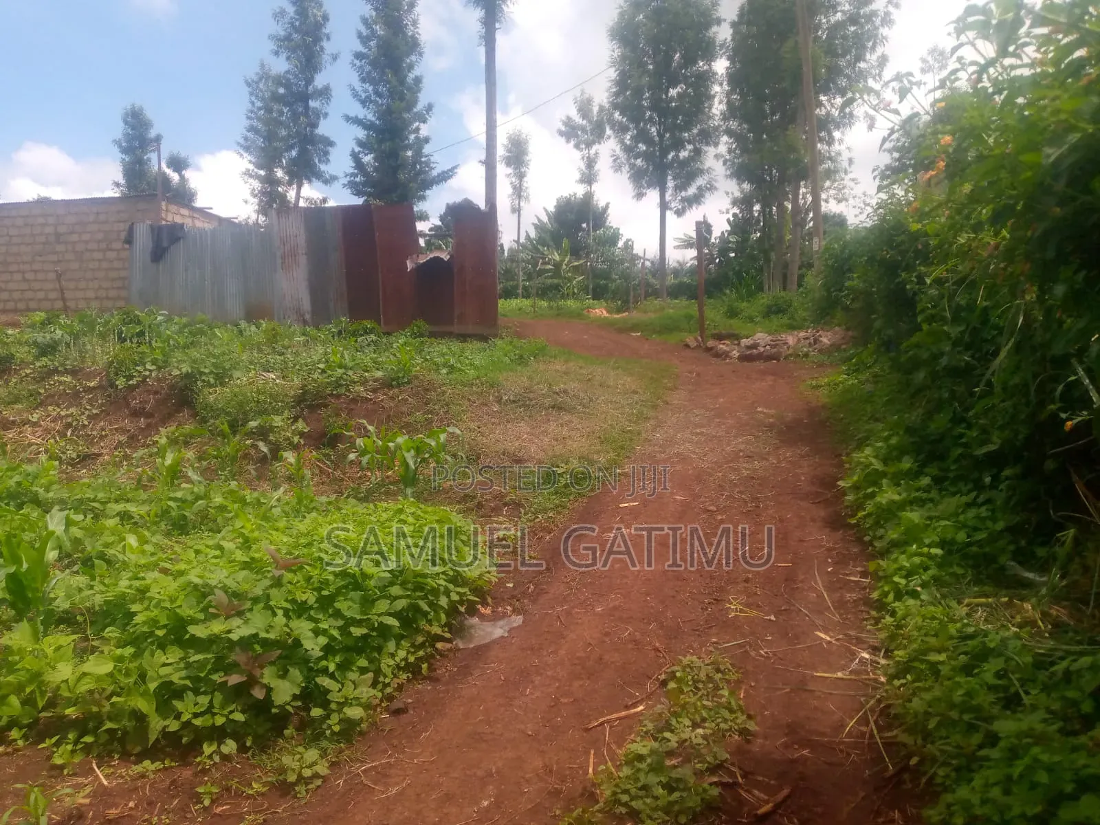 Quick Plot for Sale in Banana