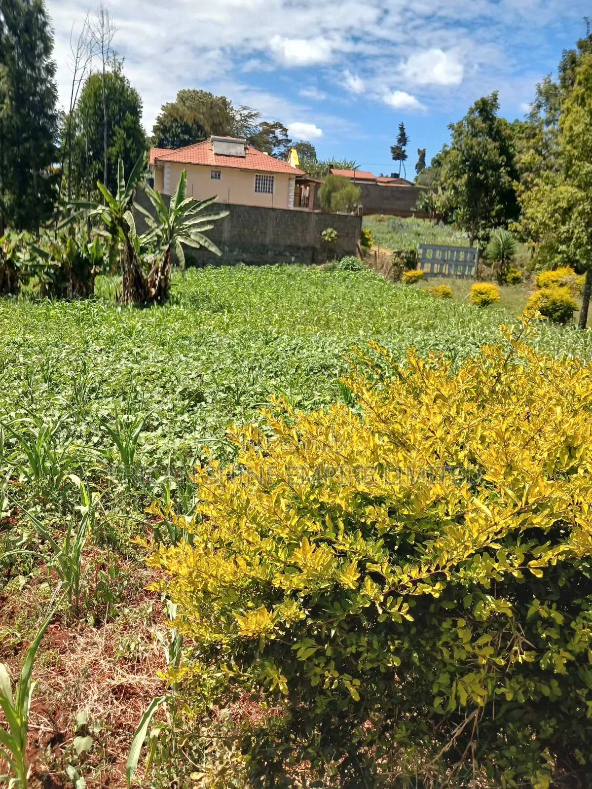 Property for Sale in Muthiga Wambaa Road in Muthaiga