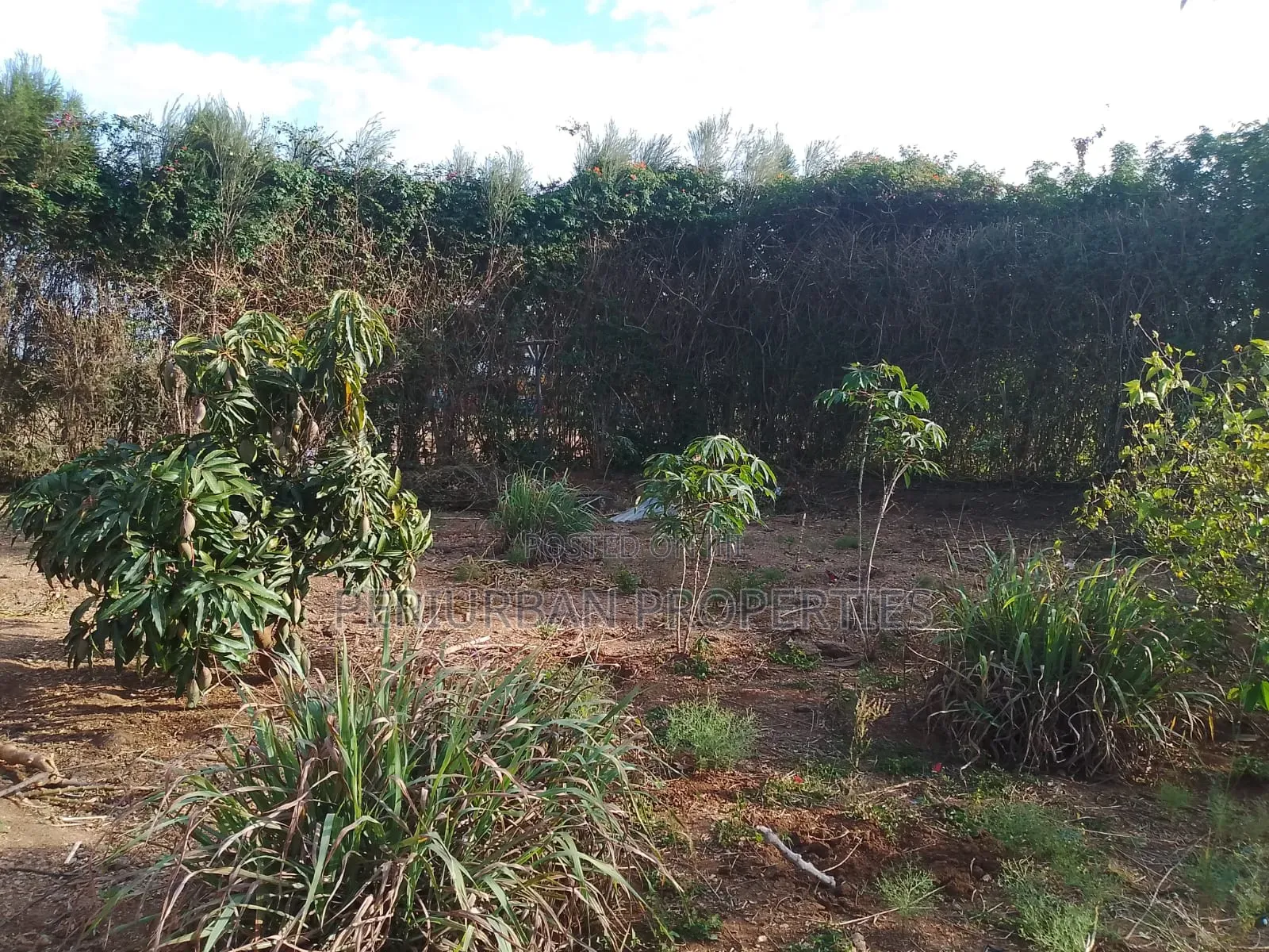 3bdrm Maisonette in Merisho, Ongata Rongai for rent in Ongata Rongai