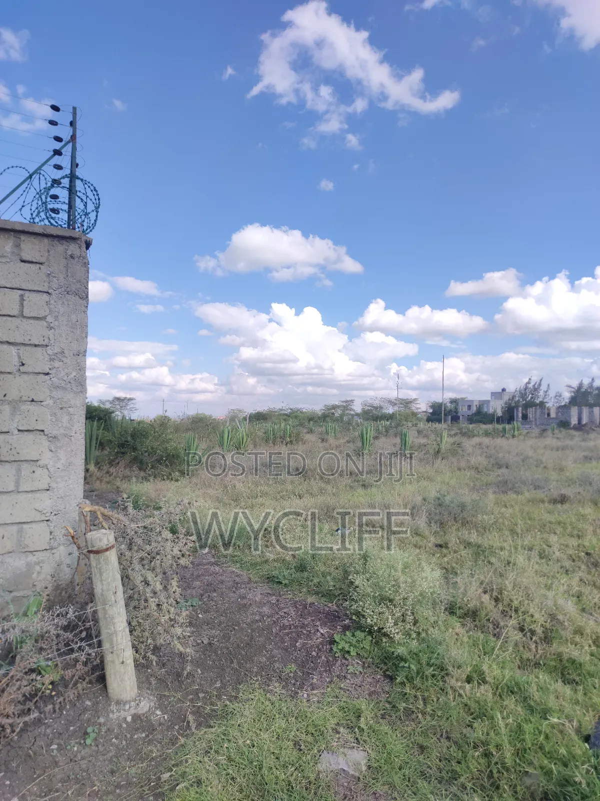 Plot for Sale (50x100) in Katani, Seme in Katani