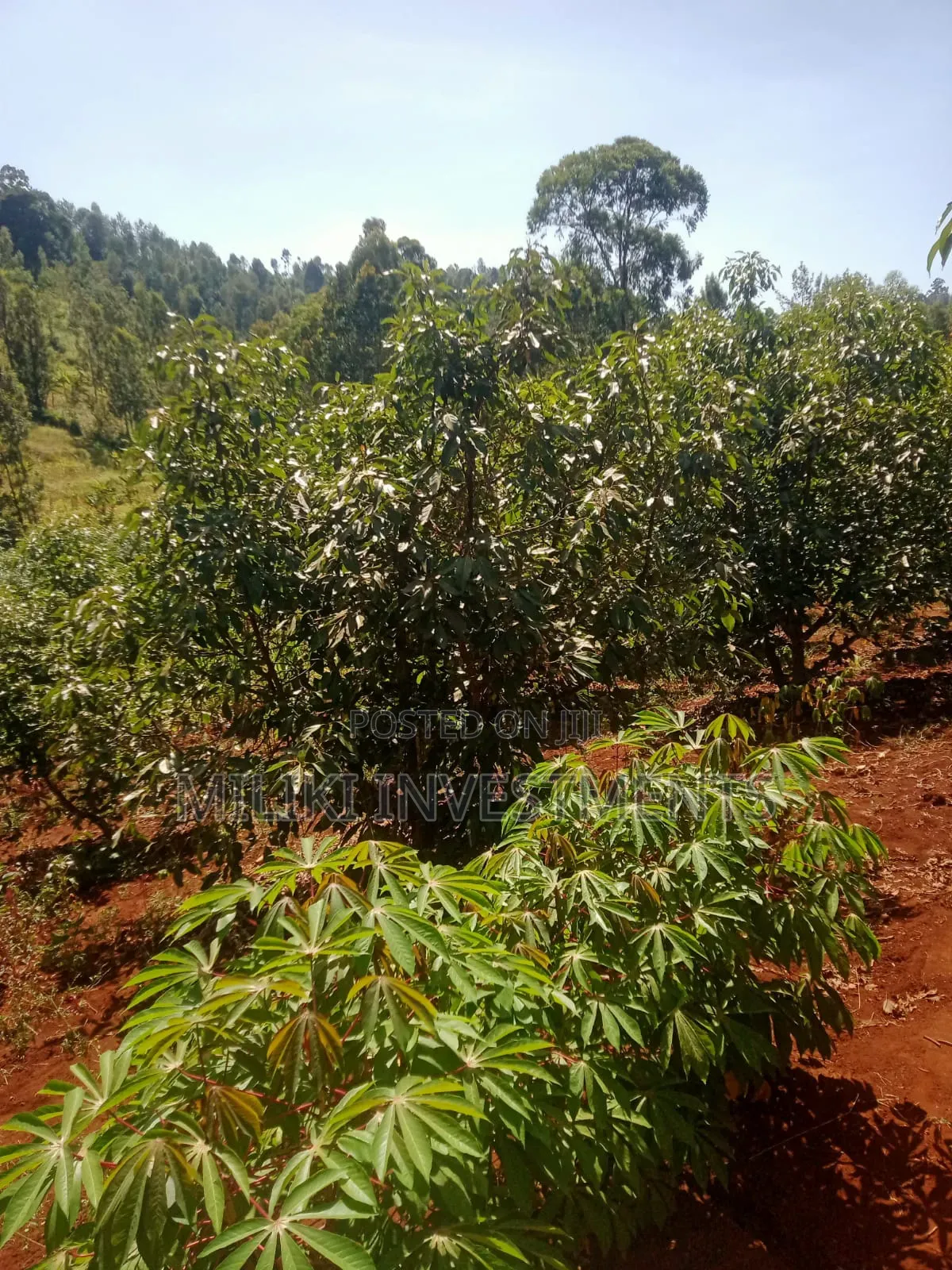 1 Acre on Sale at Kabati-Kagunduini in Kagundu-Ini