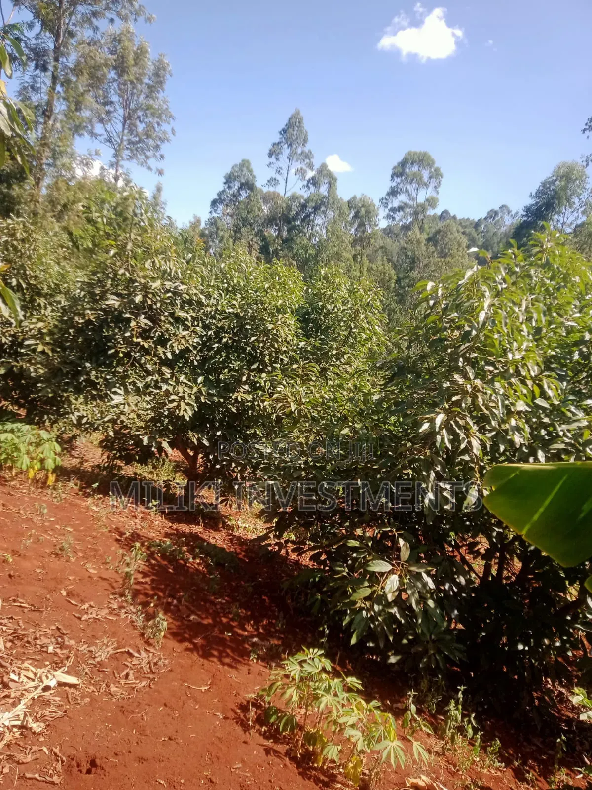 1 Acre on Sale at Kabati-Kagunduini in Kagundu-Ini