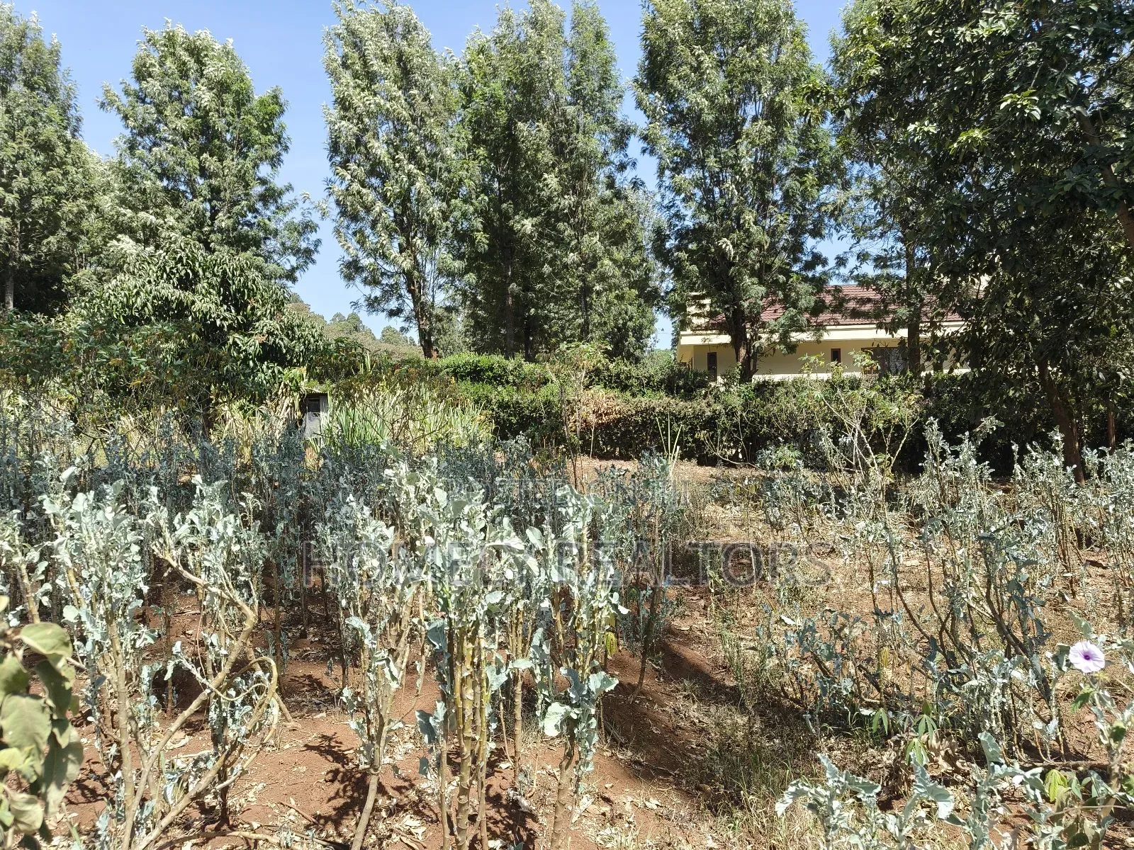 Quarter Acre Corner Plot on Sale in Kerarapon Drive. Residential Land in Kerarapon