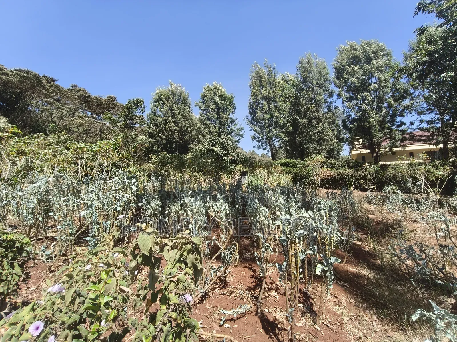 Quarter Acre Corner Plot on Sale in Kerarapon Drive. Residential Land in Kerarapon