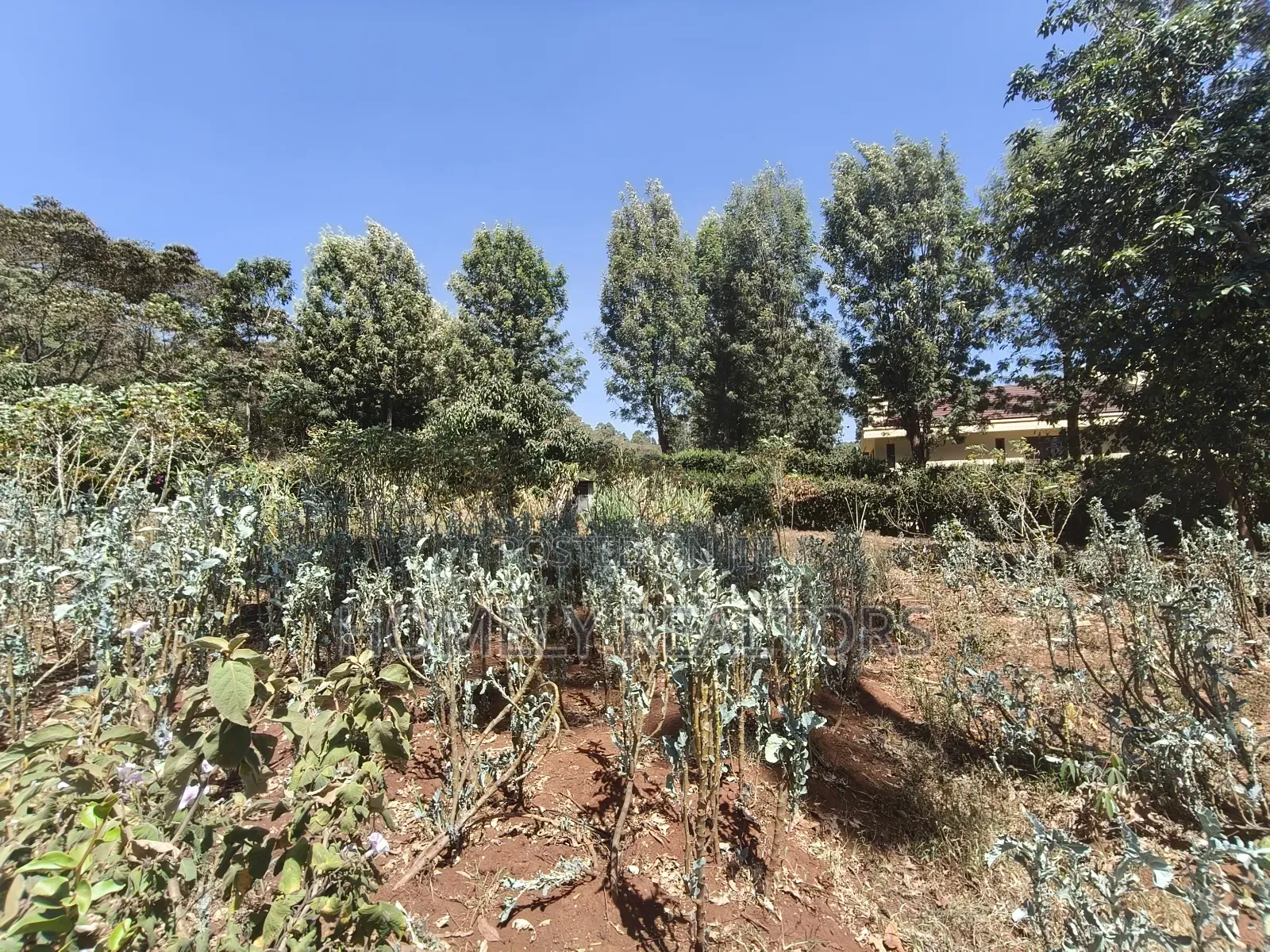 Quarter Acre Corner Plot on Sale in Kerarapon Drive. Residential Land in Kerarapon