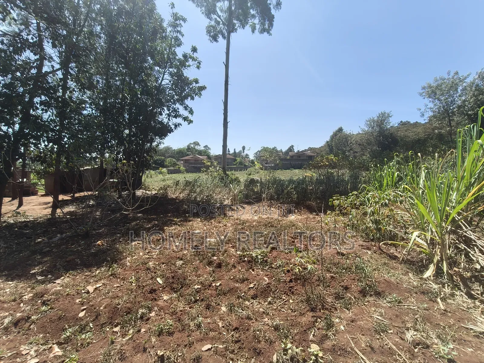 Residential Half Acre Piece of Land for Sale in Kerarapon Drive in Kerarapon