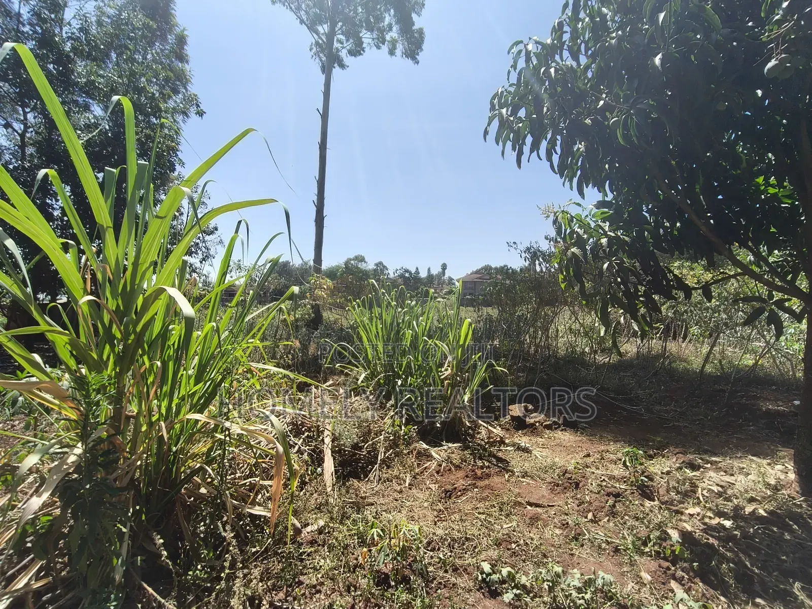 Residential Quarter Acre Plot for Sale in Kerarapon Drive, Ngong in Kerarapon