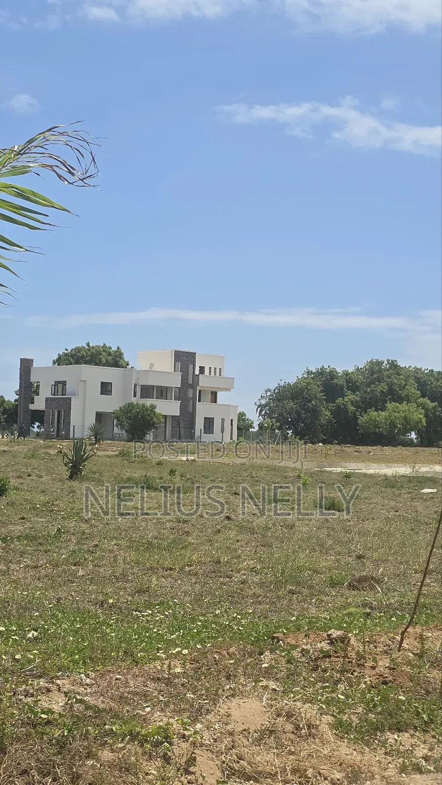 1/8 Acre Plots Vipingo in Vipingo