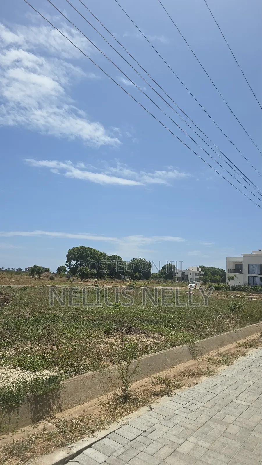 1/8 Acre Plots Vipingo in Vipingo