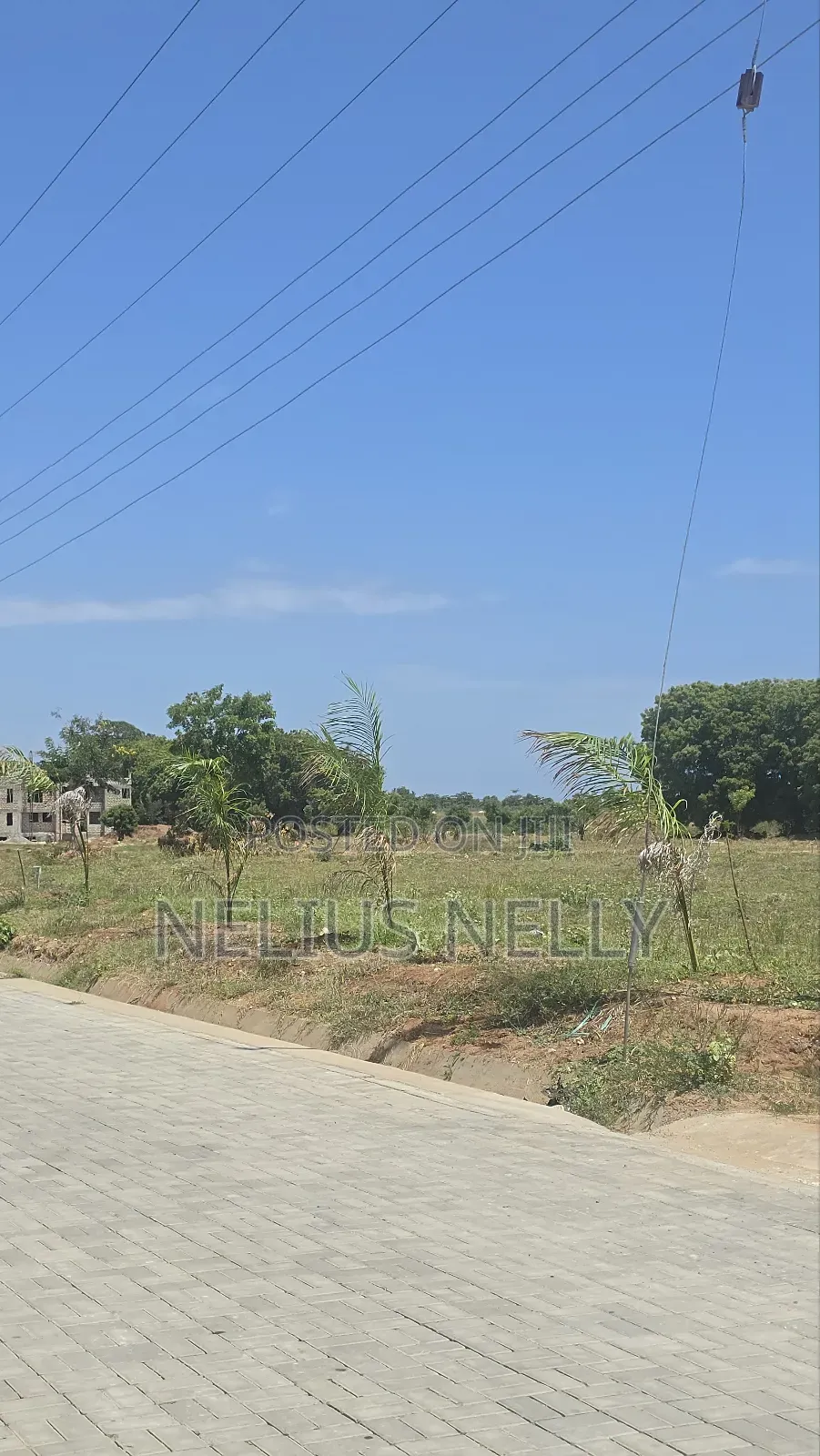 Vipingo 1/2 Acre Residential Land for Sale in Vipingo
