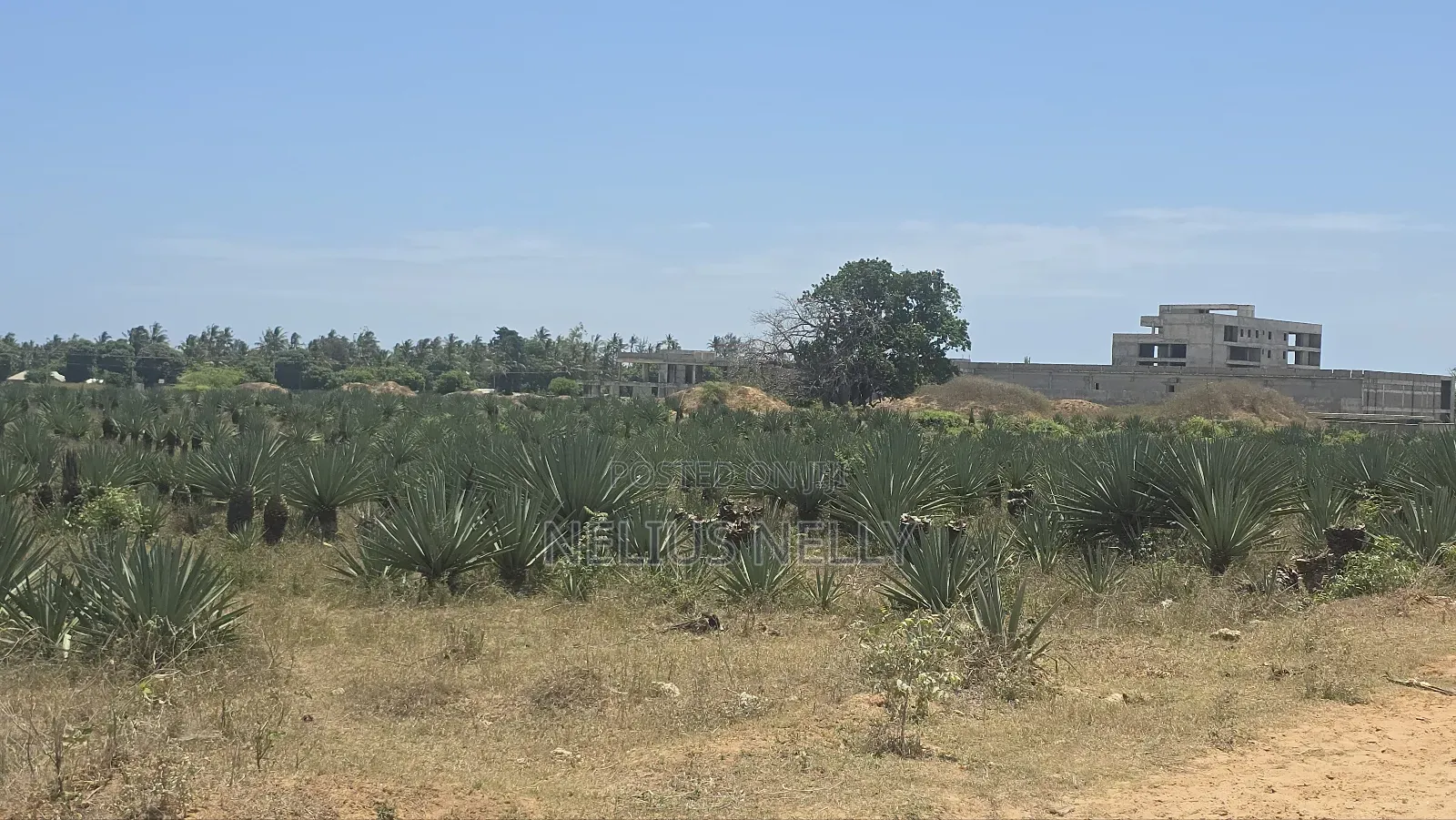 1acres Commercial Land Vipingo for Sale in Vipingo