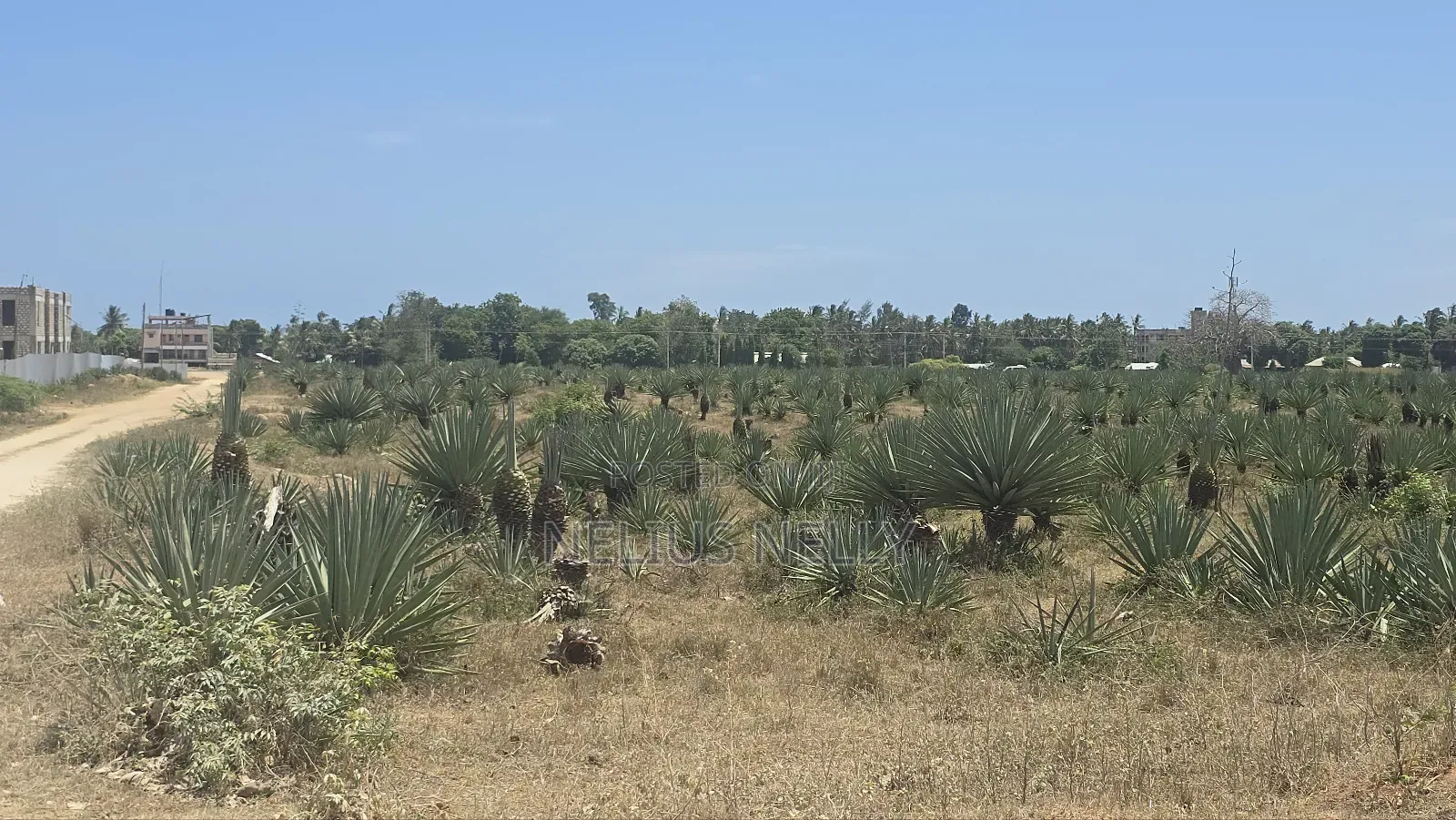 1acres Commercial Land Vipingo for Sale in Vipingo