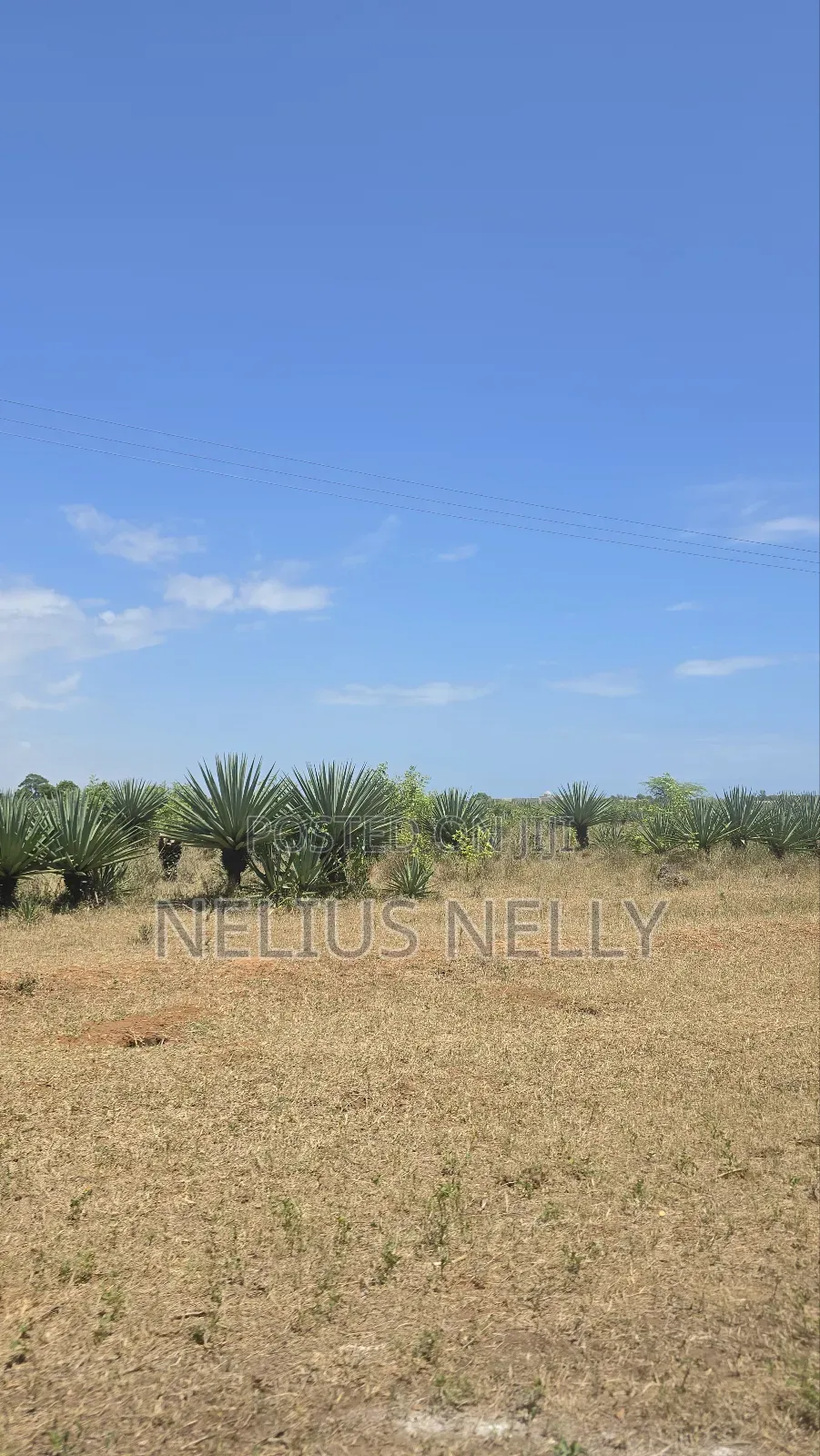 1acres Commercial Land Vipingo for Sale in Vipingo