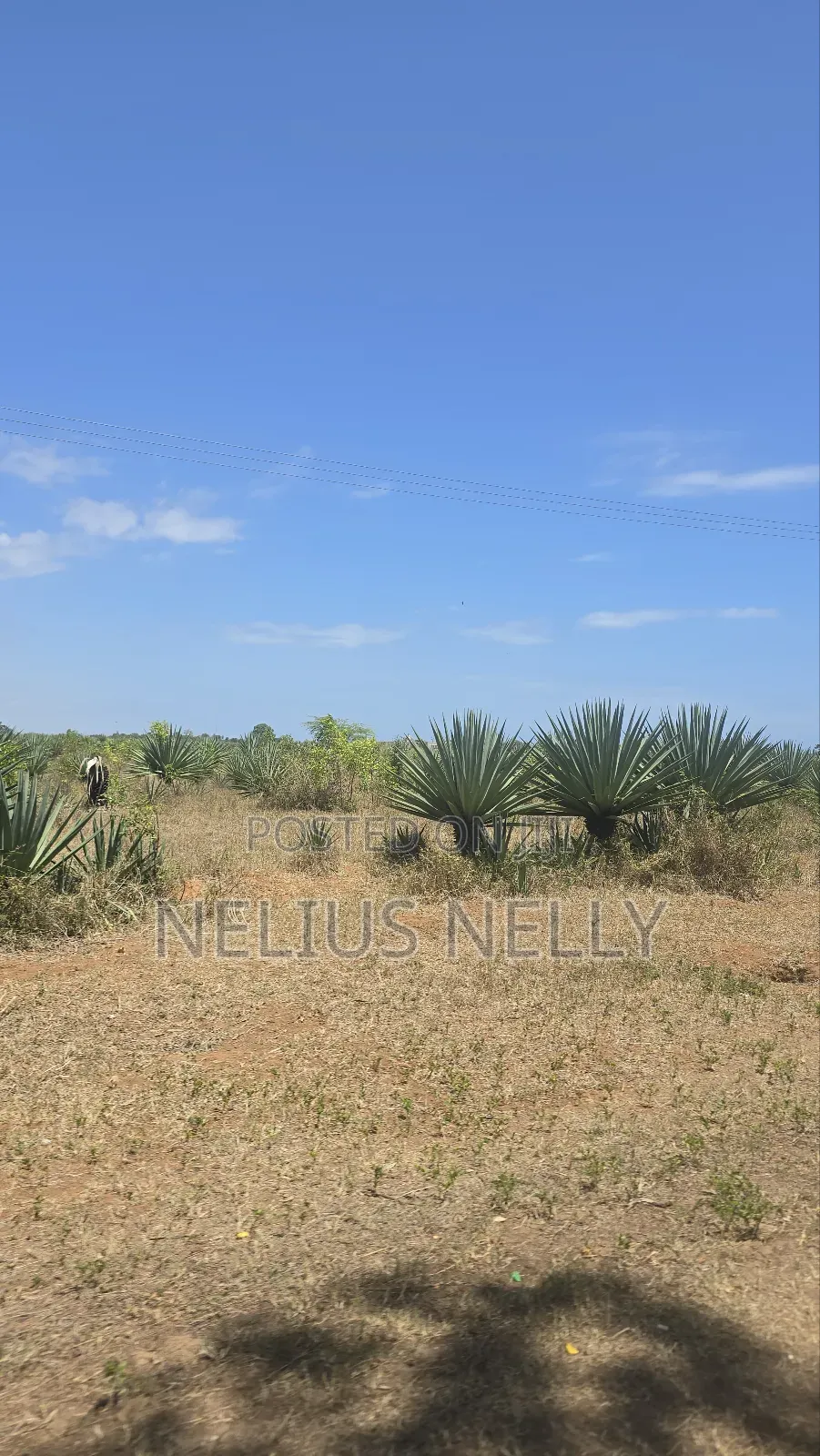 1acres Commercial Land Vipingo for Sale in Vipingo