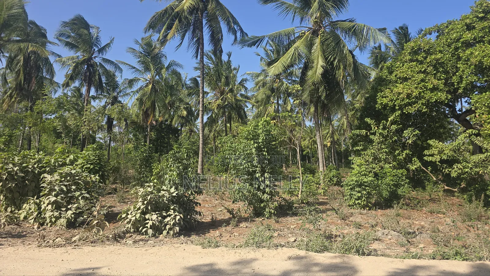 2acres for Sale Tezo Kilifi in Kilifi South