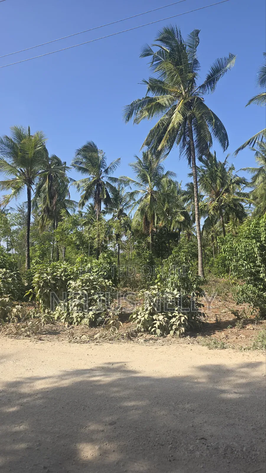 2acres for Sale Tezo Kilifi in Kilifi South