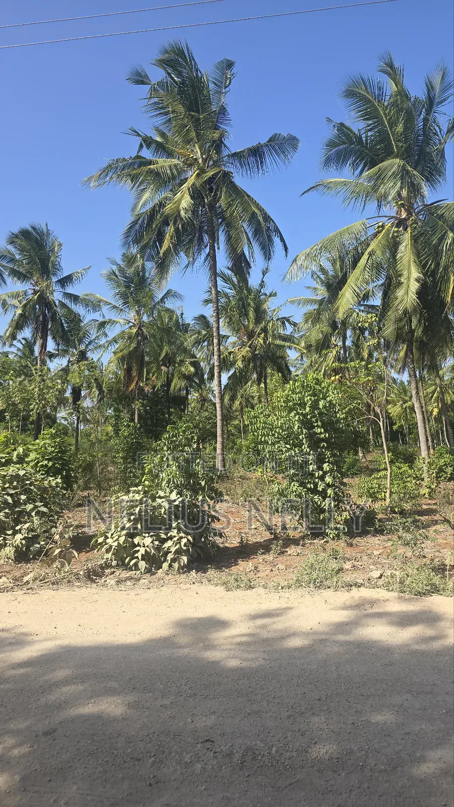 2acres for Sale Tezo Kilifi in Kilifi South