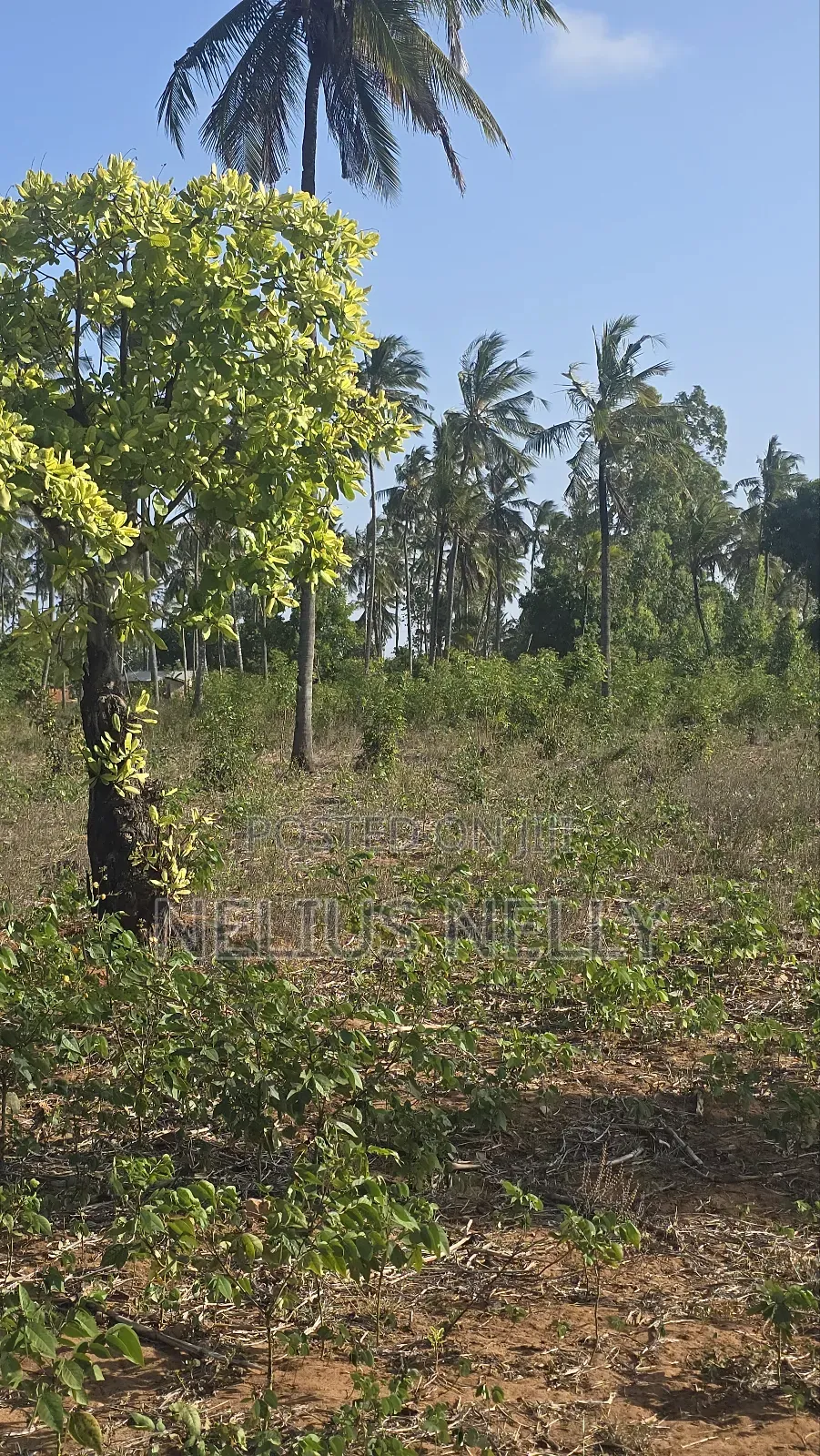 1acre Tezo Kokotoni in Kilifi South