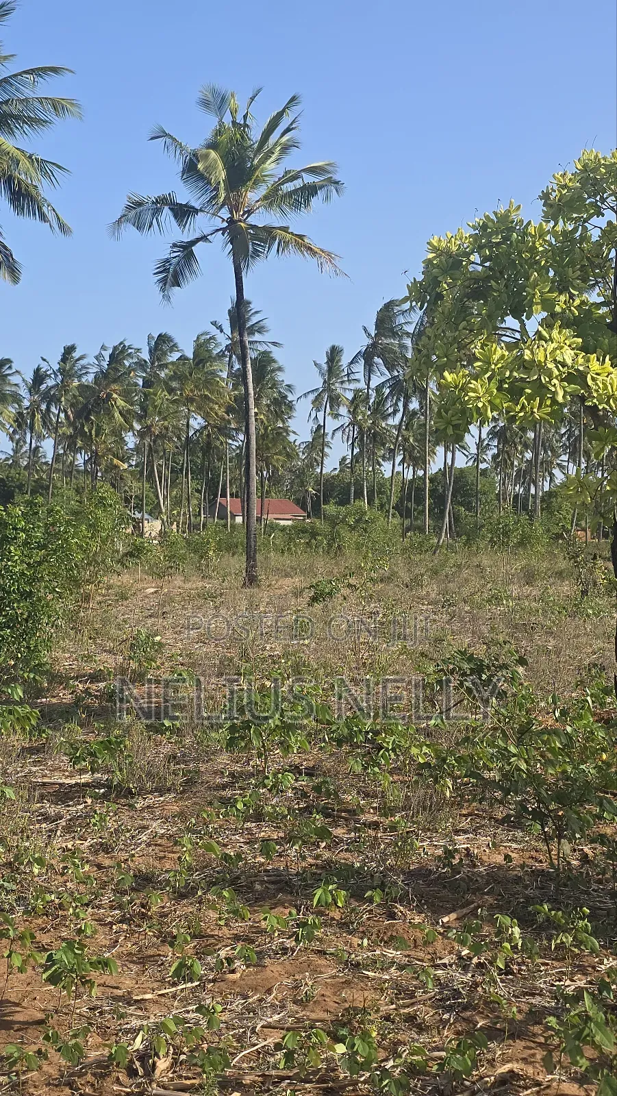 1acre Tezo Kokotoni in Kilifi South
