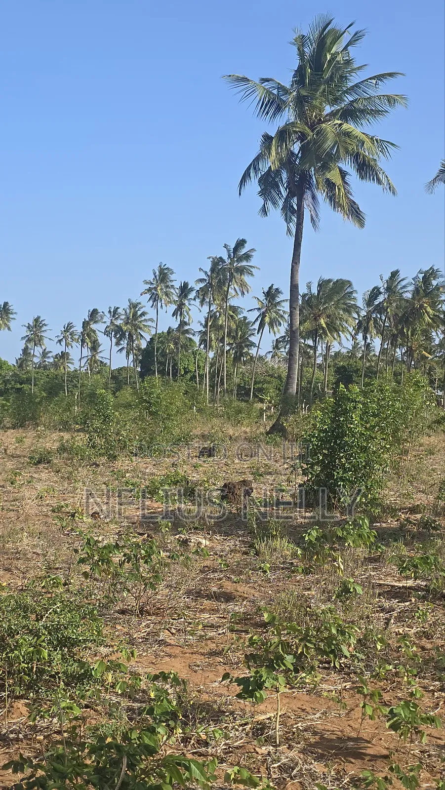 1acre Tezo Kokotoni in Kilifi South