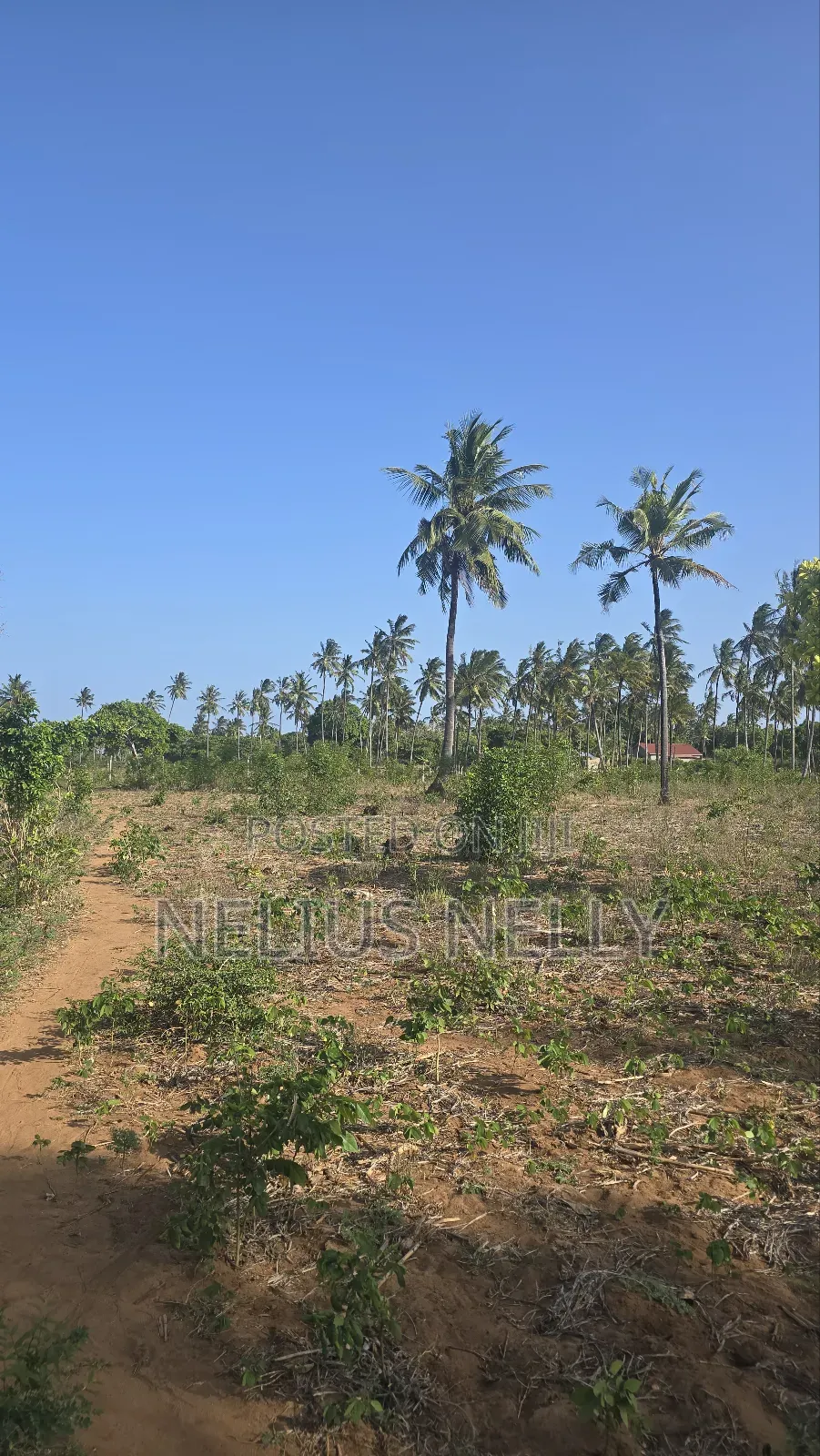 1acre Tezo Kokotoni in Kilifi South