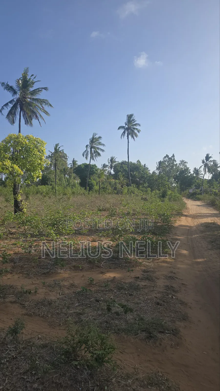 1acre Tezo Kokotoni in Kilifi South