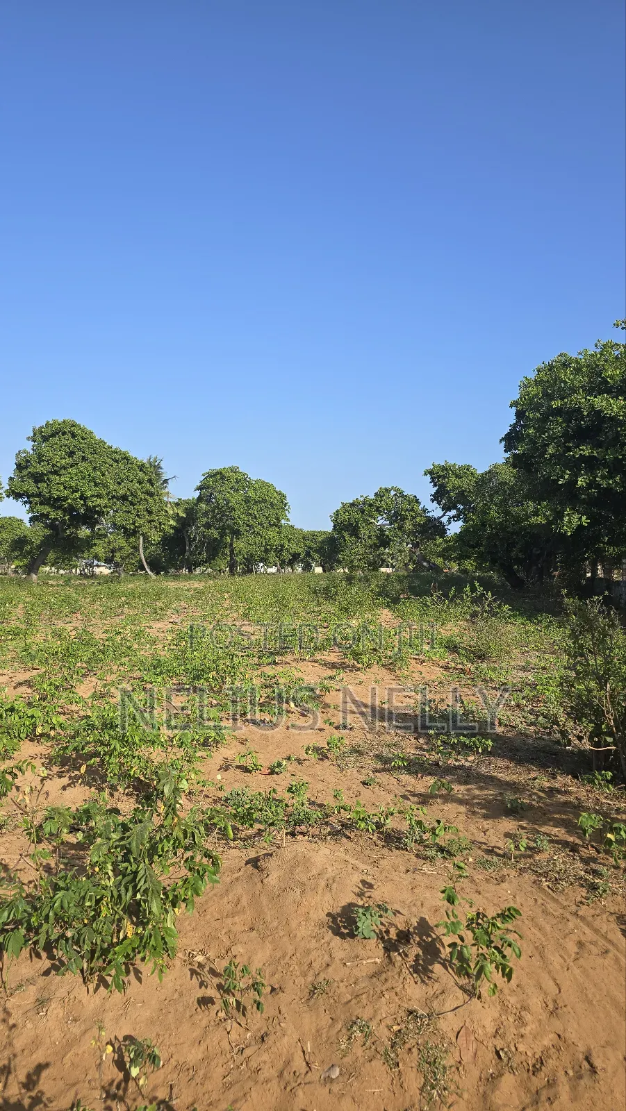 3.5acres for Sale Kituoni Kilifi Before Tezo Town in Kilifi South