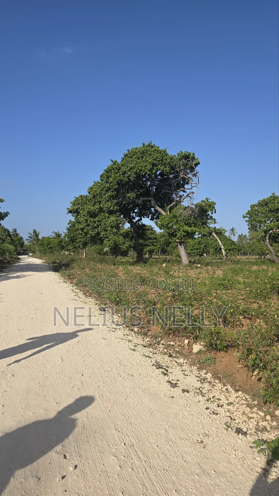 3.5acres for Sale Kituoni Kilifi Before Tezo Town in Kilifi South