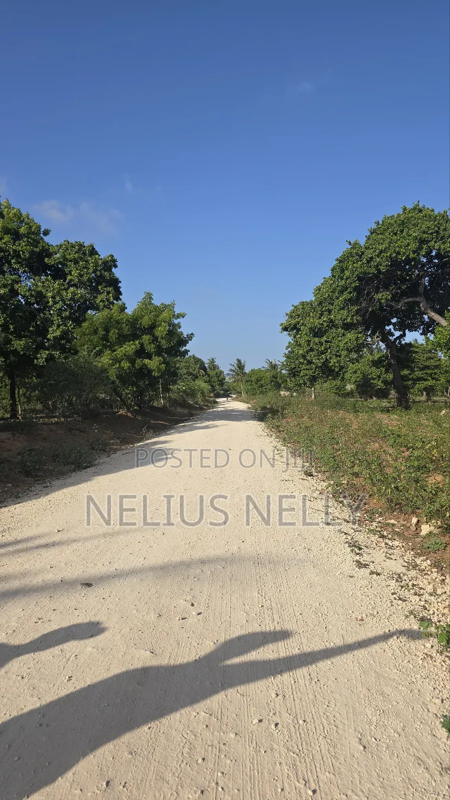 3.5acres for Sale Kituoni Kilifi Before Tezo Town in Kilifi South