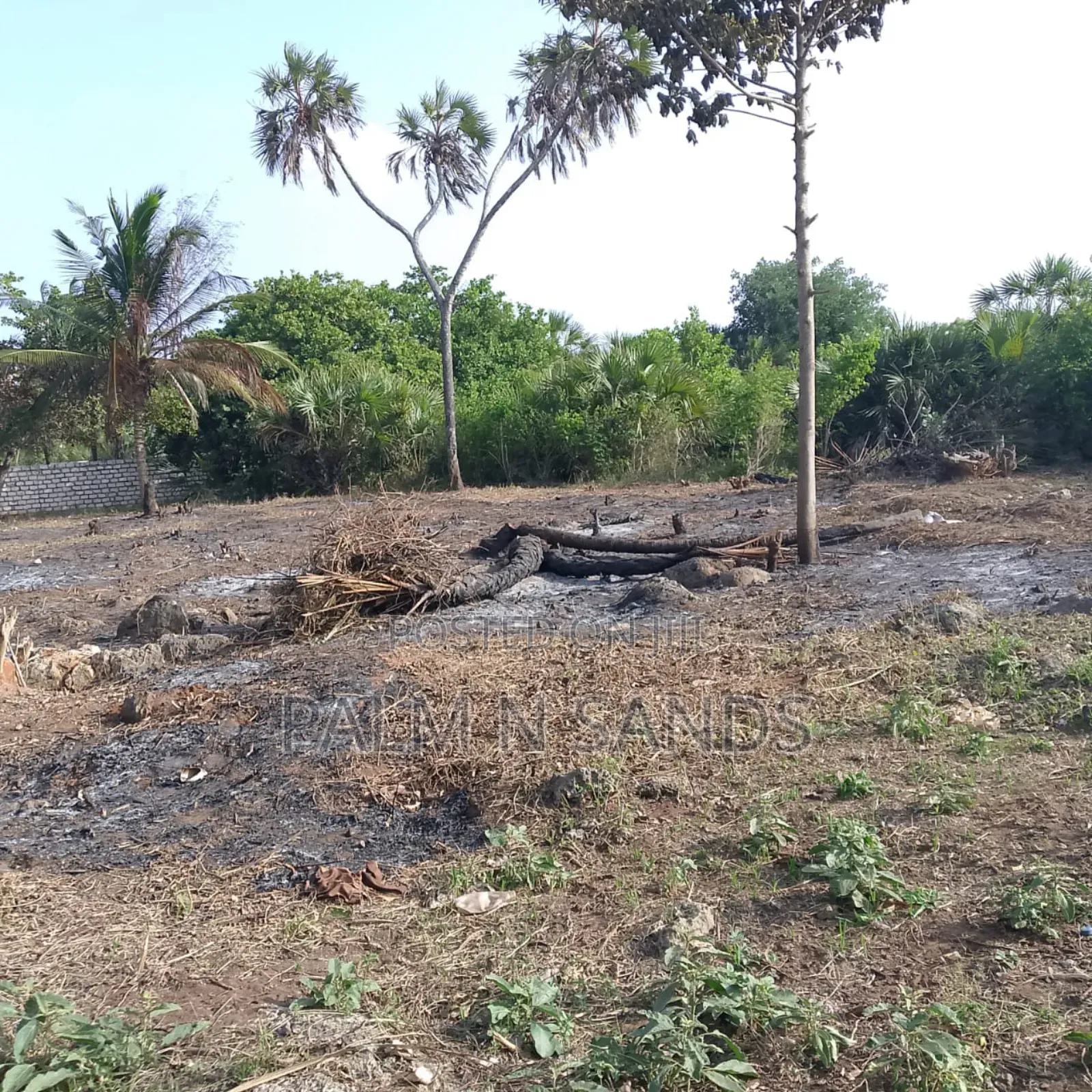 1/4 Acre Near Mekaela School Diani in Ukunda