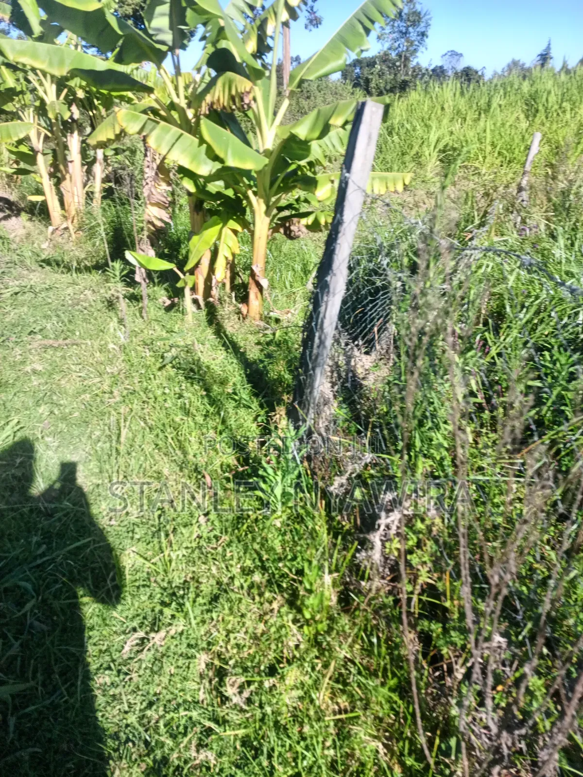 One and Quarter Land for Sale Nanyuki CBD in Laikipia East