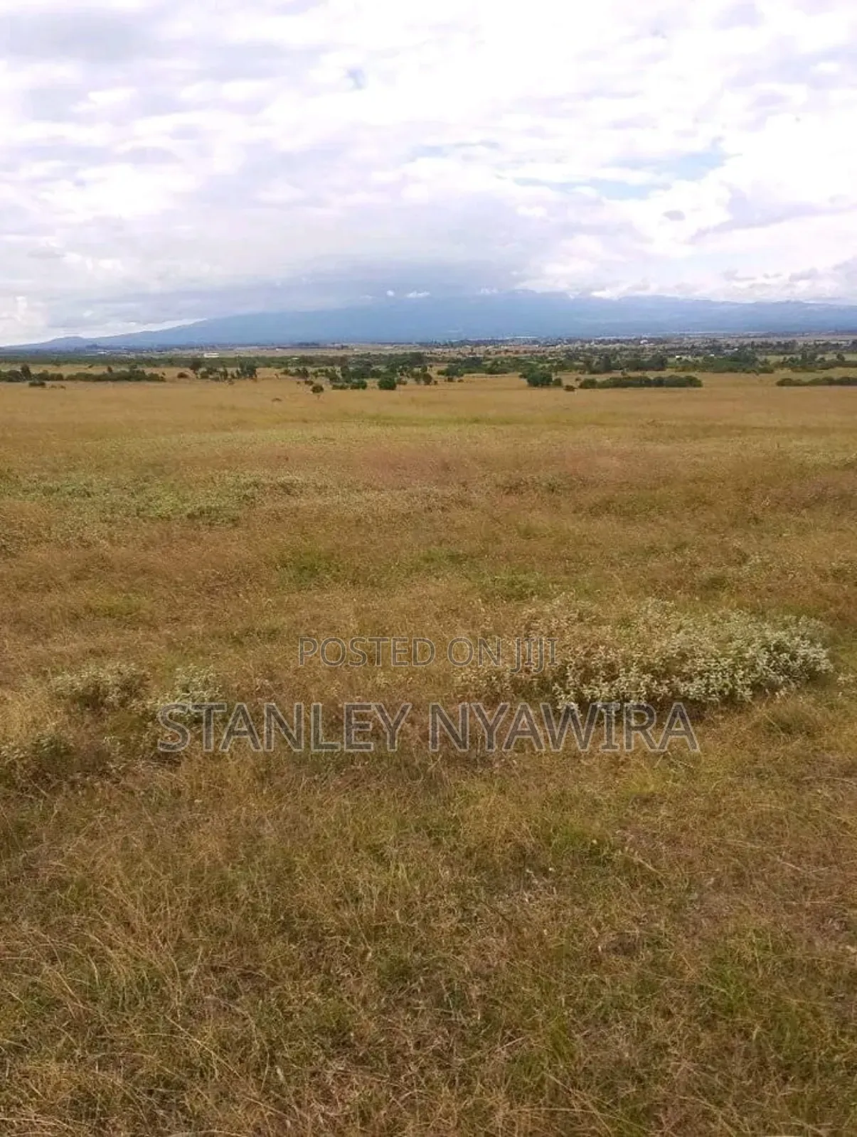 53 Acrea on Sale Nanyuki via Nyeri Highway in Laikipia East