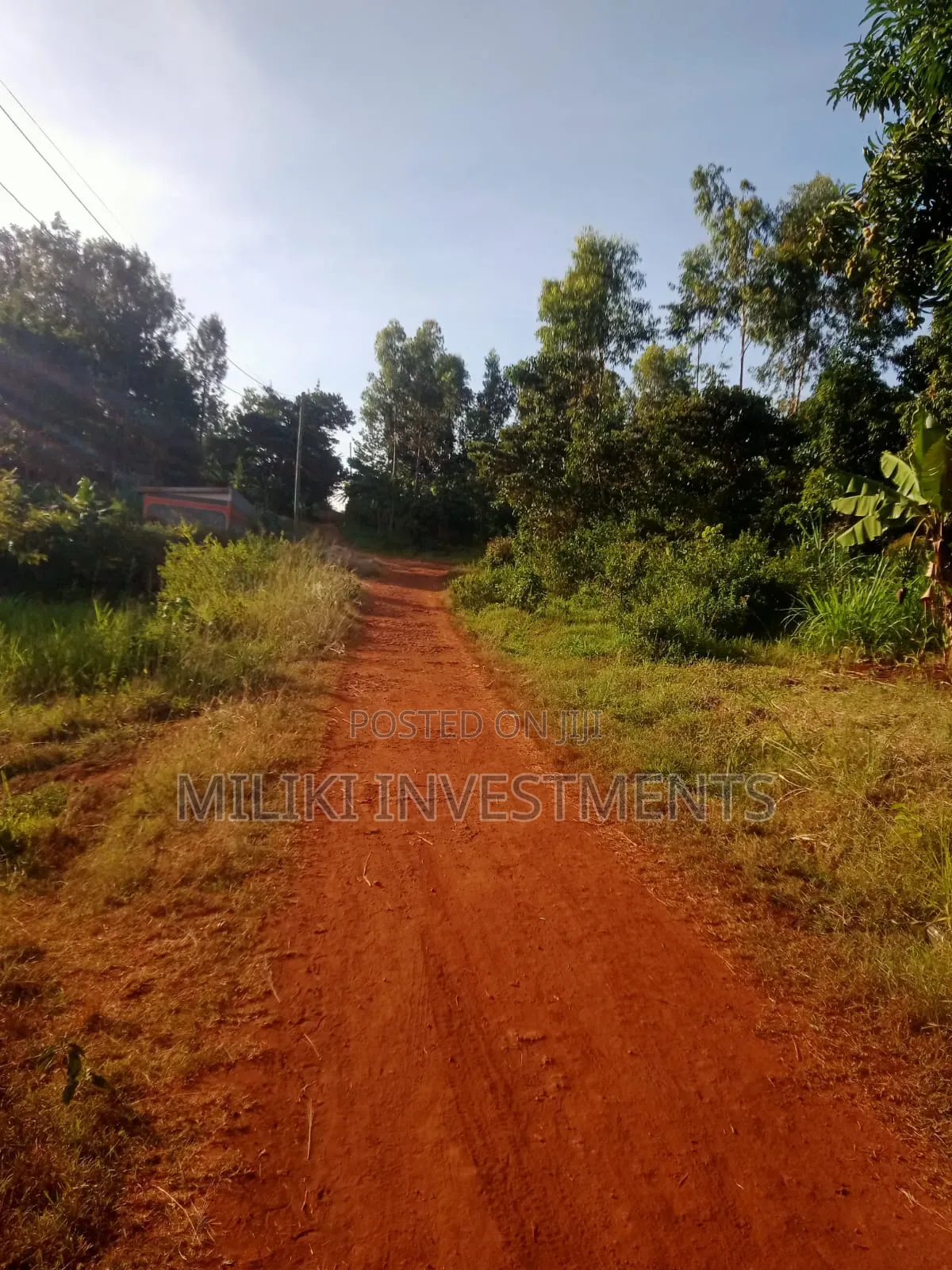 50 by 100 Plot on Sale at Maragi in Mbiri