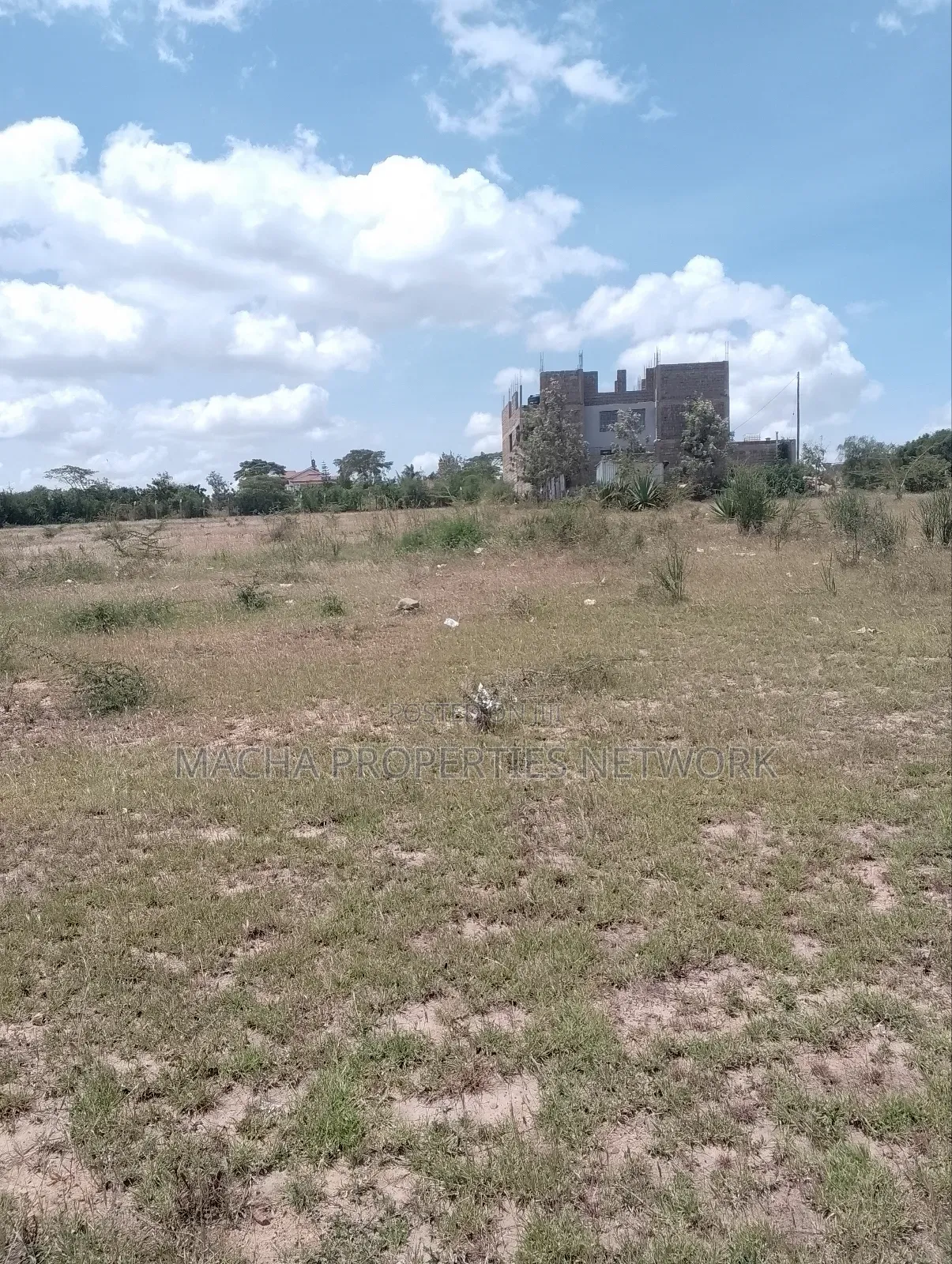 Kyumbi Junction 50 by 100ft in Junction