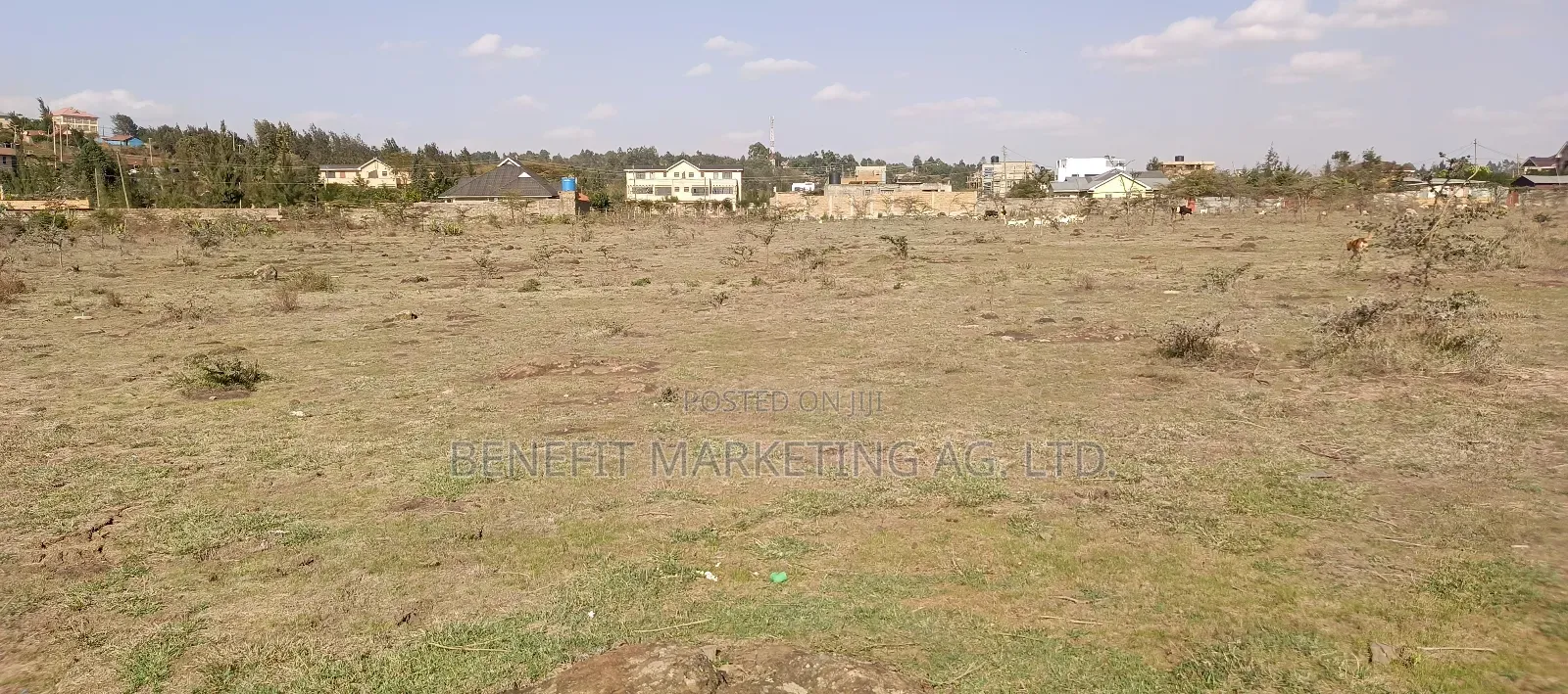 1⁄8 Acre Plots for Sale in Ngong Kibiko, 200 Metres From Tarmac in Kibiku