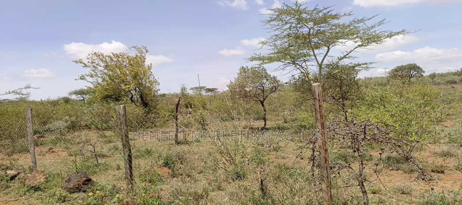 Quarter Acre Plot for Sale in Ngong Kimuka in Ngong