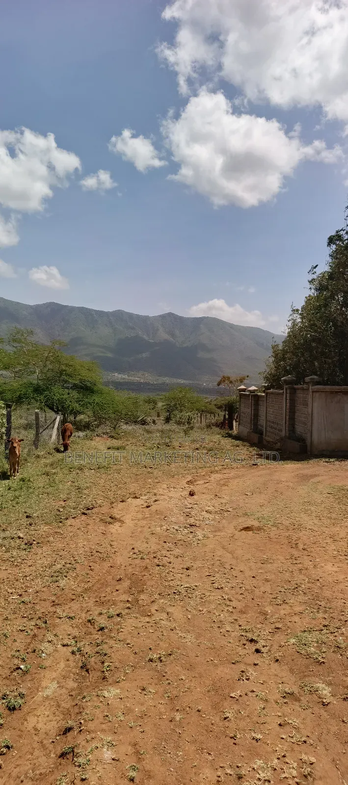 Quarter Acre Plot for Sale in Ngong Kimuka in Ngong